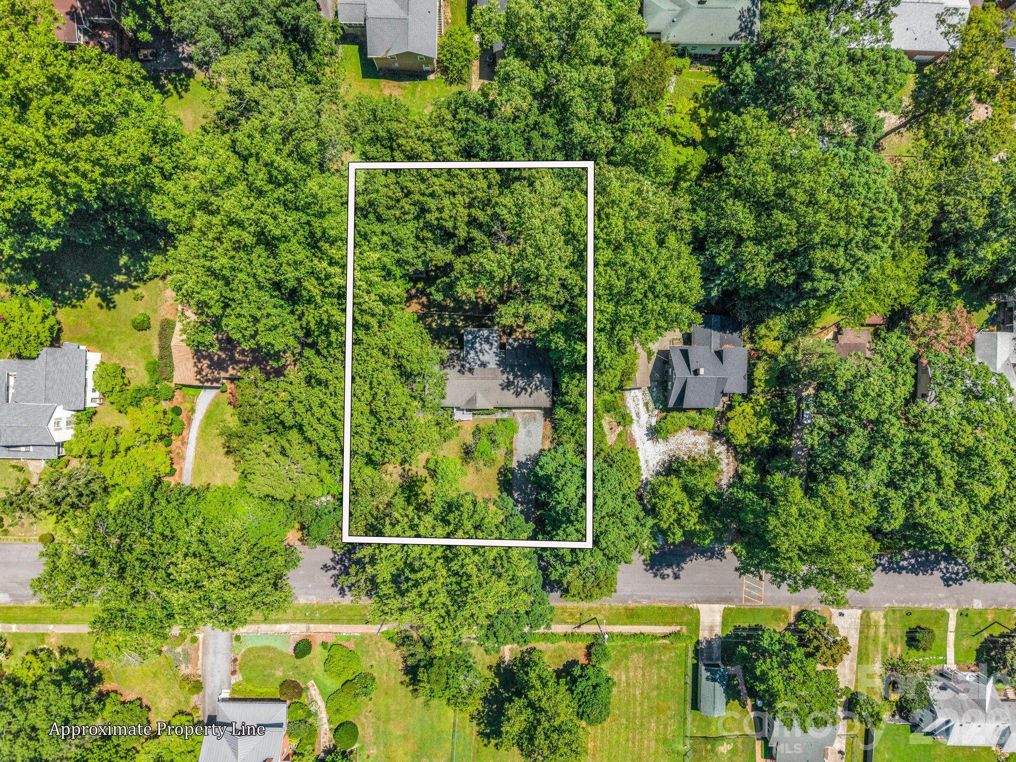 117 Whitney Avenue Property Photo 34