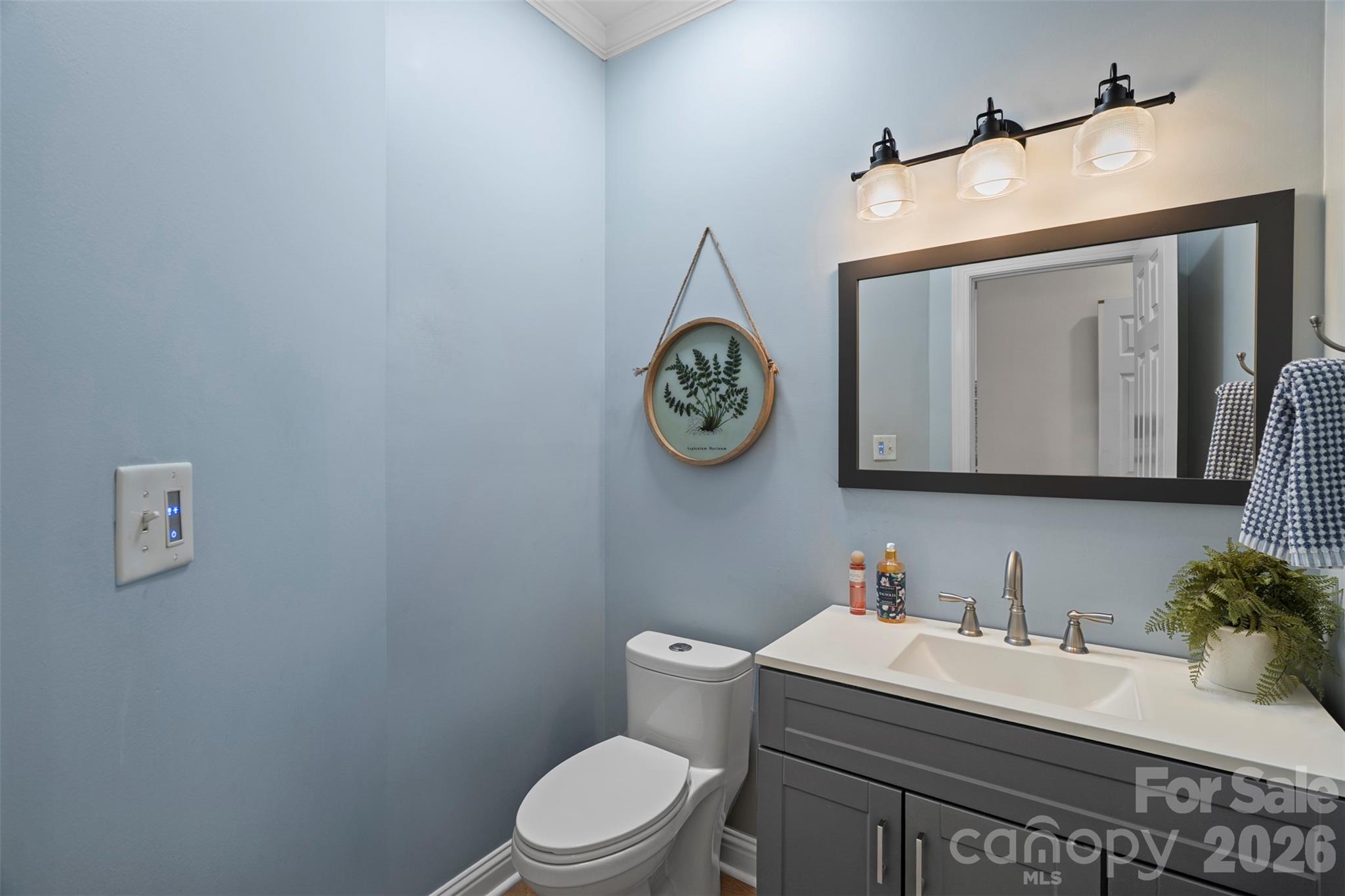 3003 Rochester Court Property Photo 38