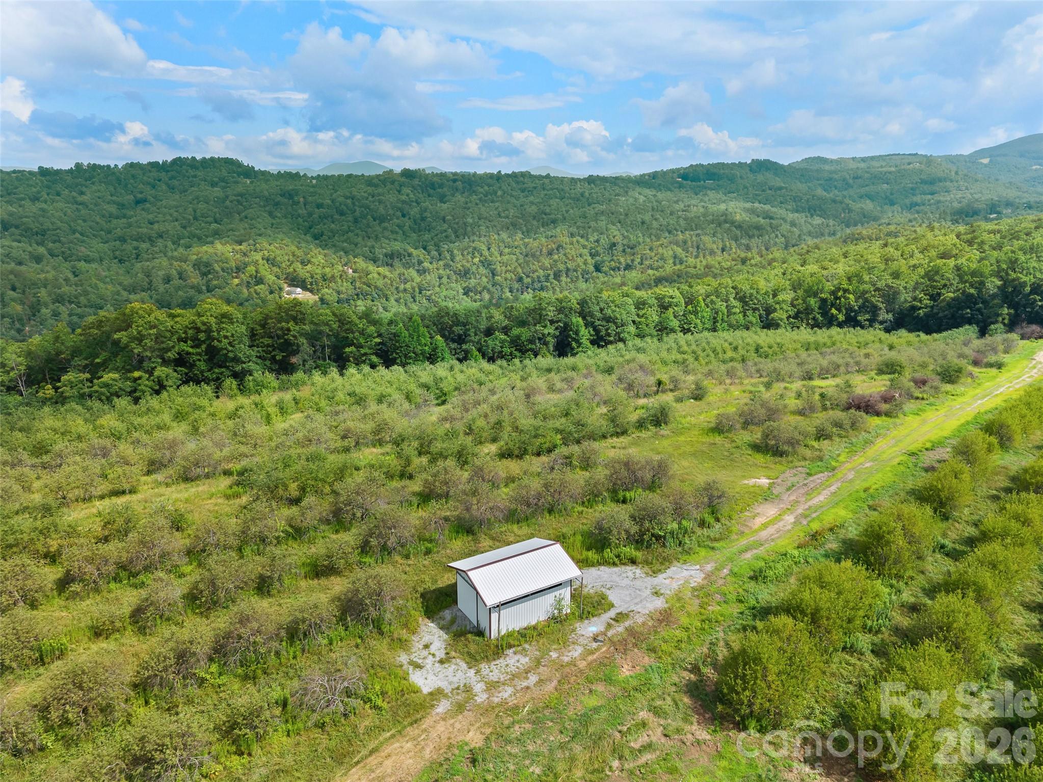 0 Summer Road 6 Property Photo 4