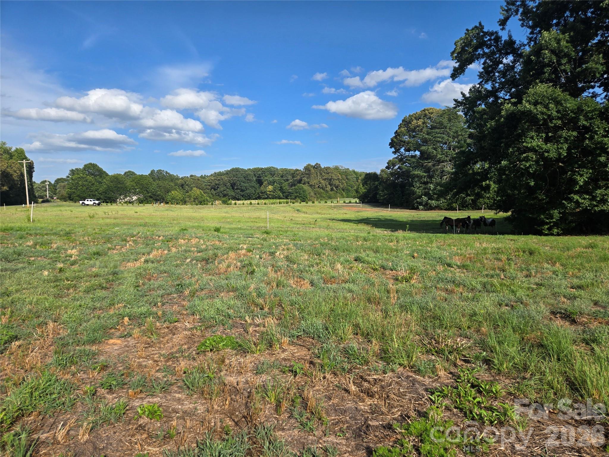 3904 Lucy Shortcut Road Property Photo 13