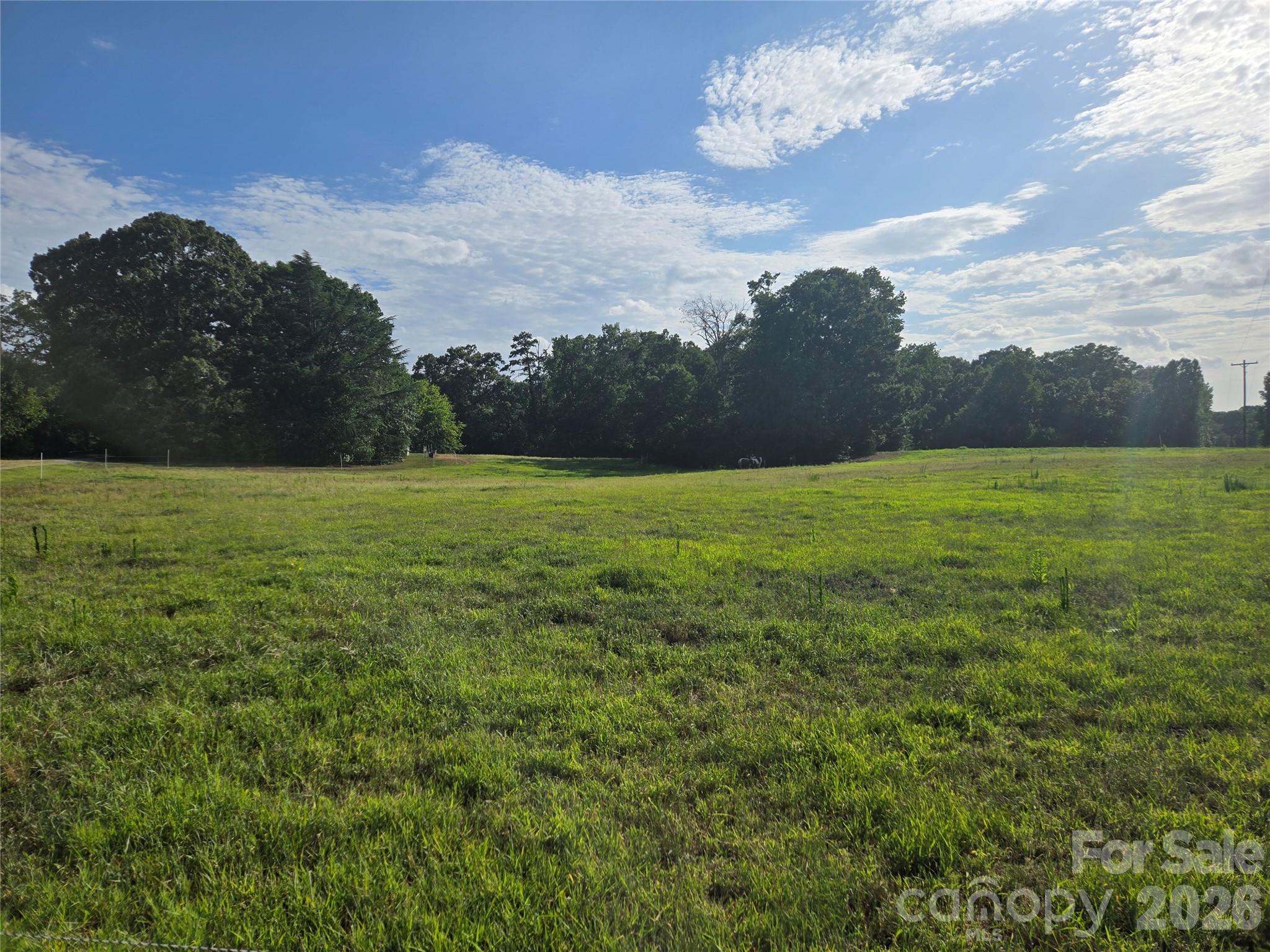 3904 Lucy Shortcut Road Property Photo 24