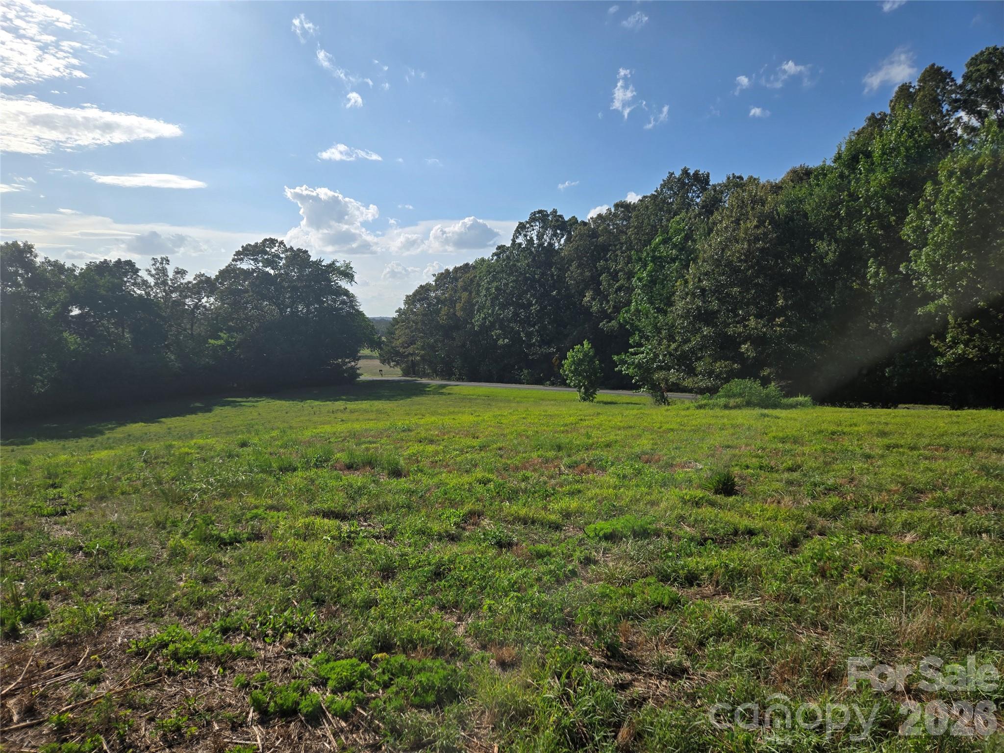 3904 Lucy Shortcut Road Property Photo 25