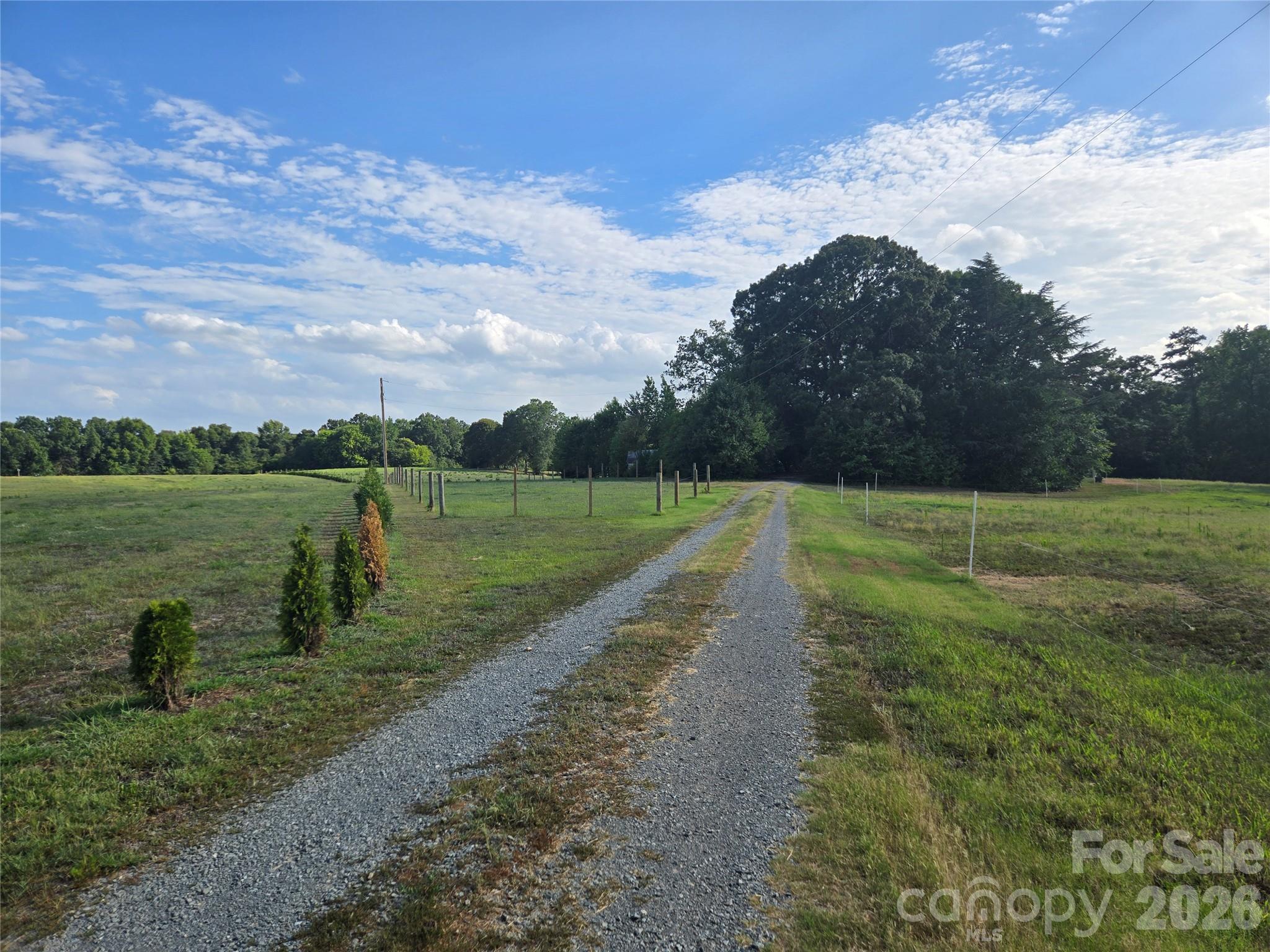3904 Lucy Shortcut Road Property Photo 26