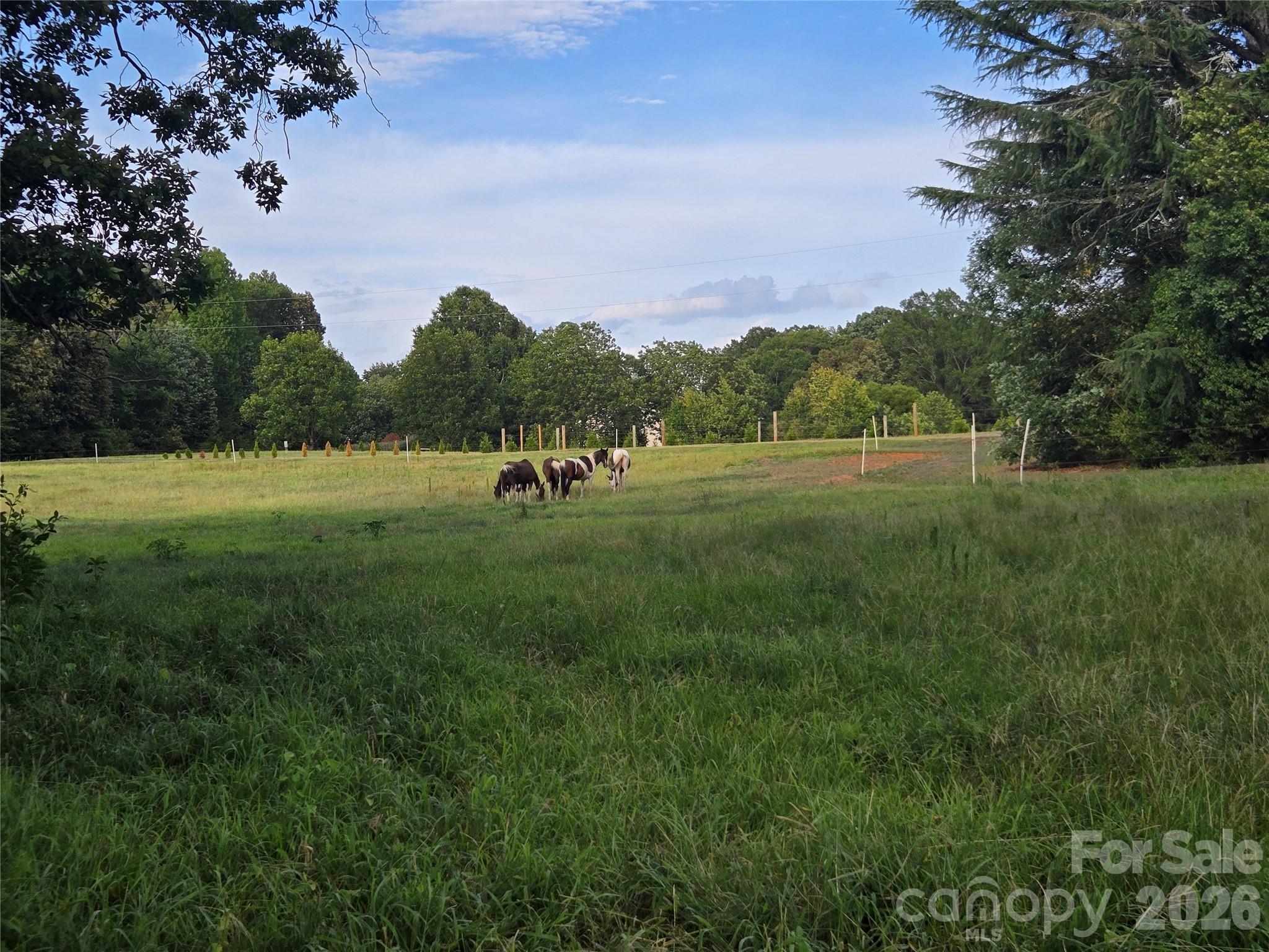 3904 Lucy Shortcut Road Property Photo 27