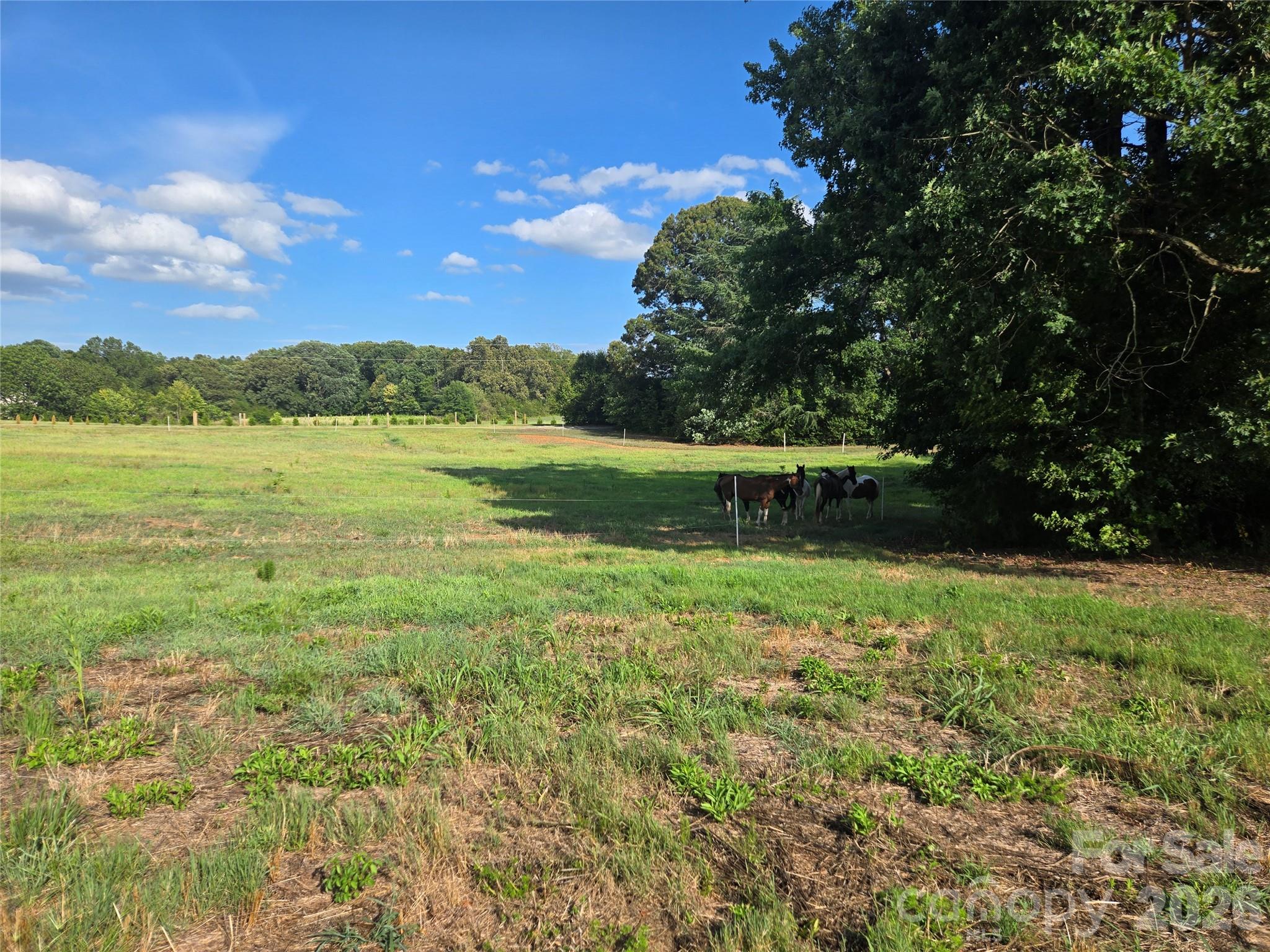 3904 Lucy Shortcut Road Property Photo 28