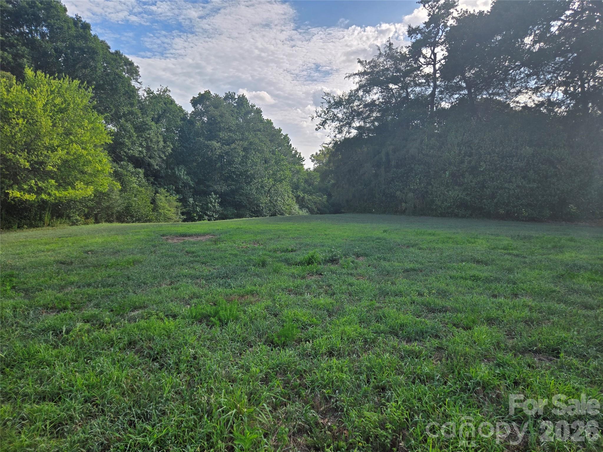 3904 Lucy Shortcut Road Property Photo 30