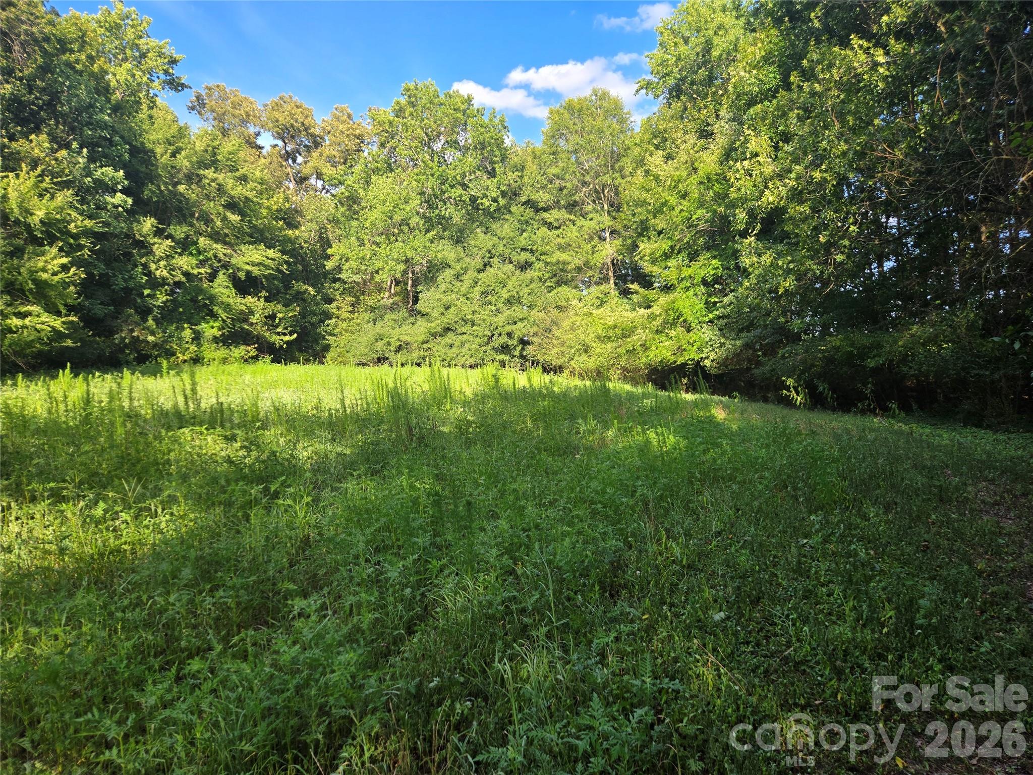 3904 Lucy Shortcut Road Property Photo 31