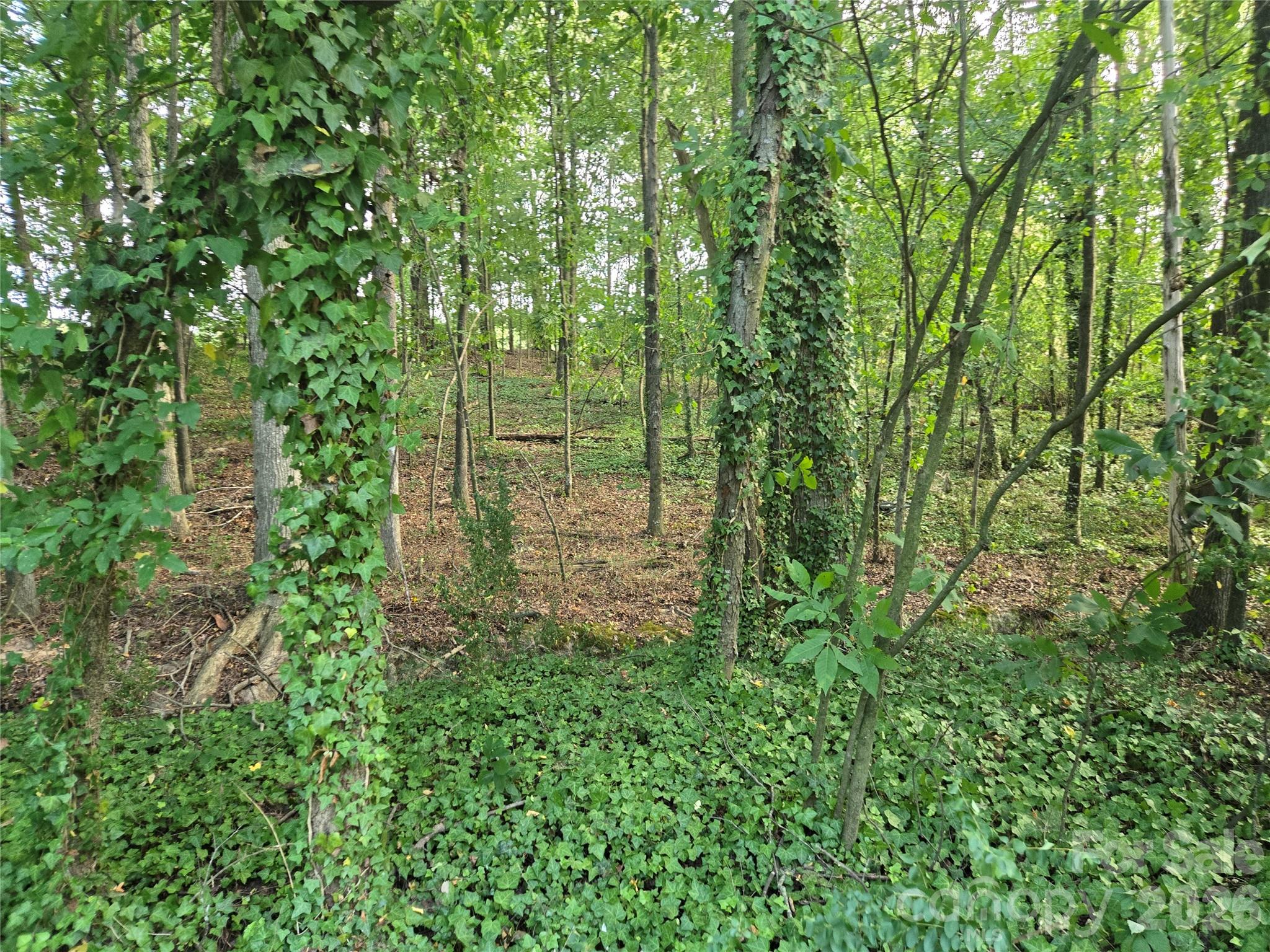3904 Lucy Shortcut Road Property Photo 32