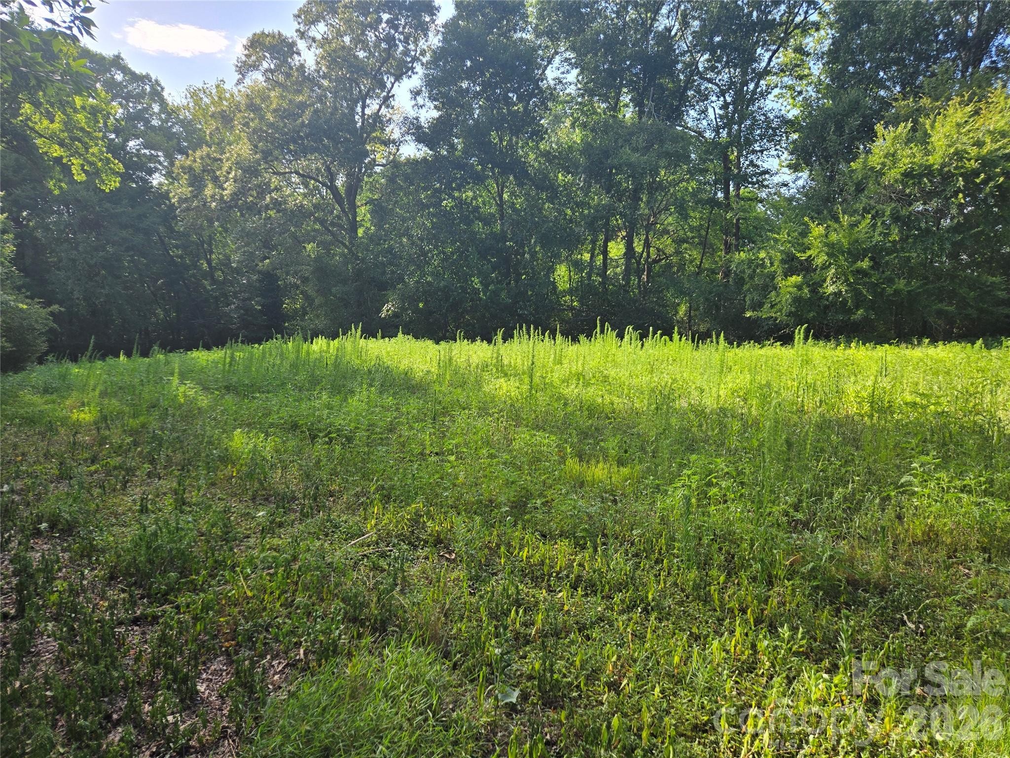 3904 Lucy Shortcut Road Property Photo 33