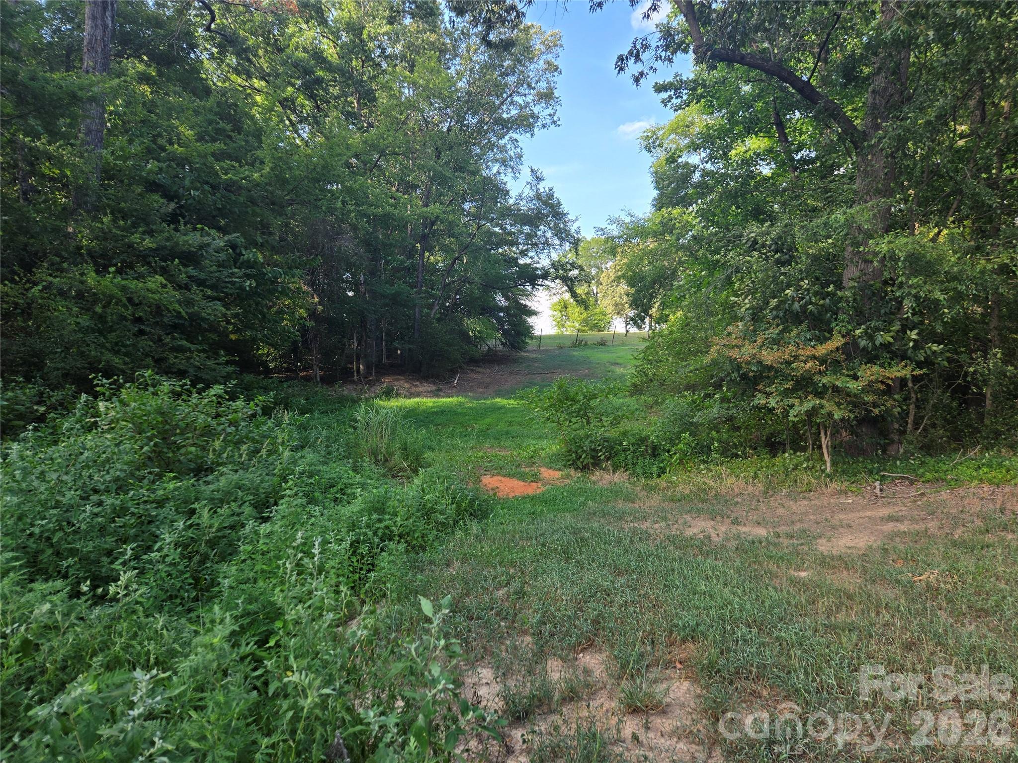 3904 Lucy Shortcut Road Property Photo 34