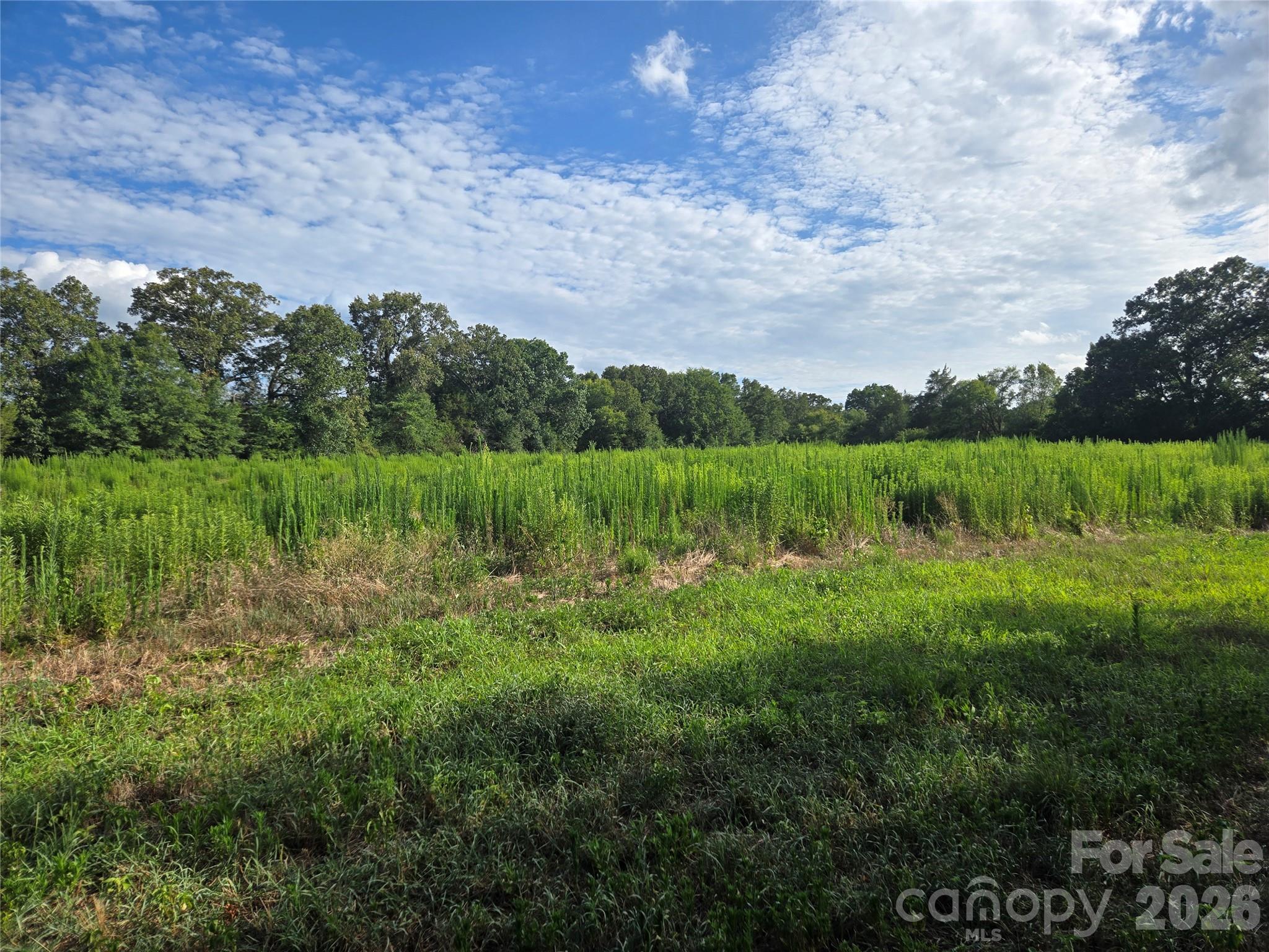 3904 Lucy Shortcut Road Property Photo 35