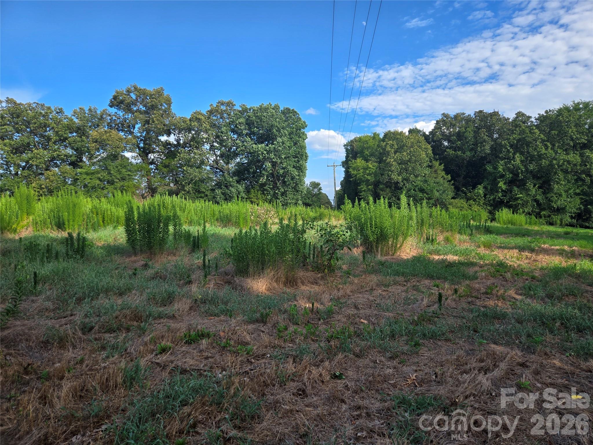 3904 Lucy Shortcut Road Property Photo 36