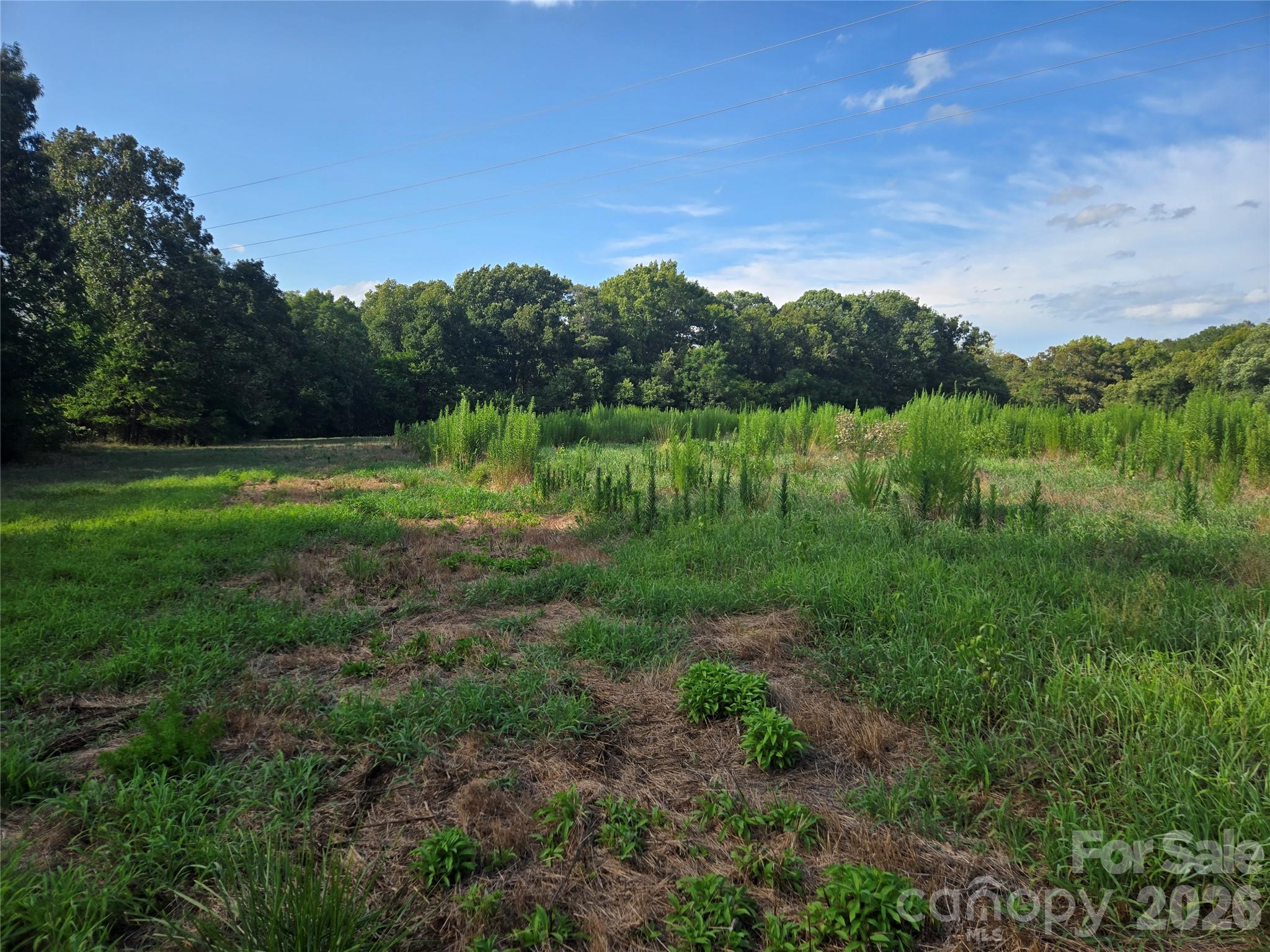 3904 Lucy Shortcut Road Property Photo 37