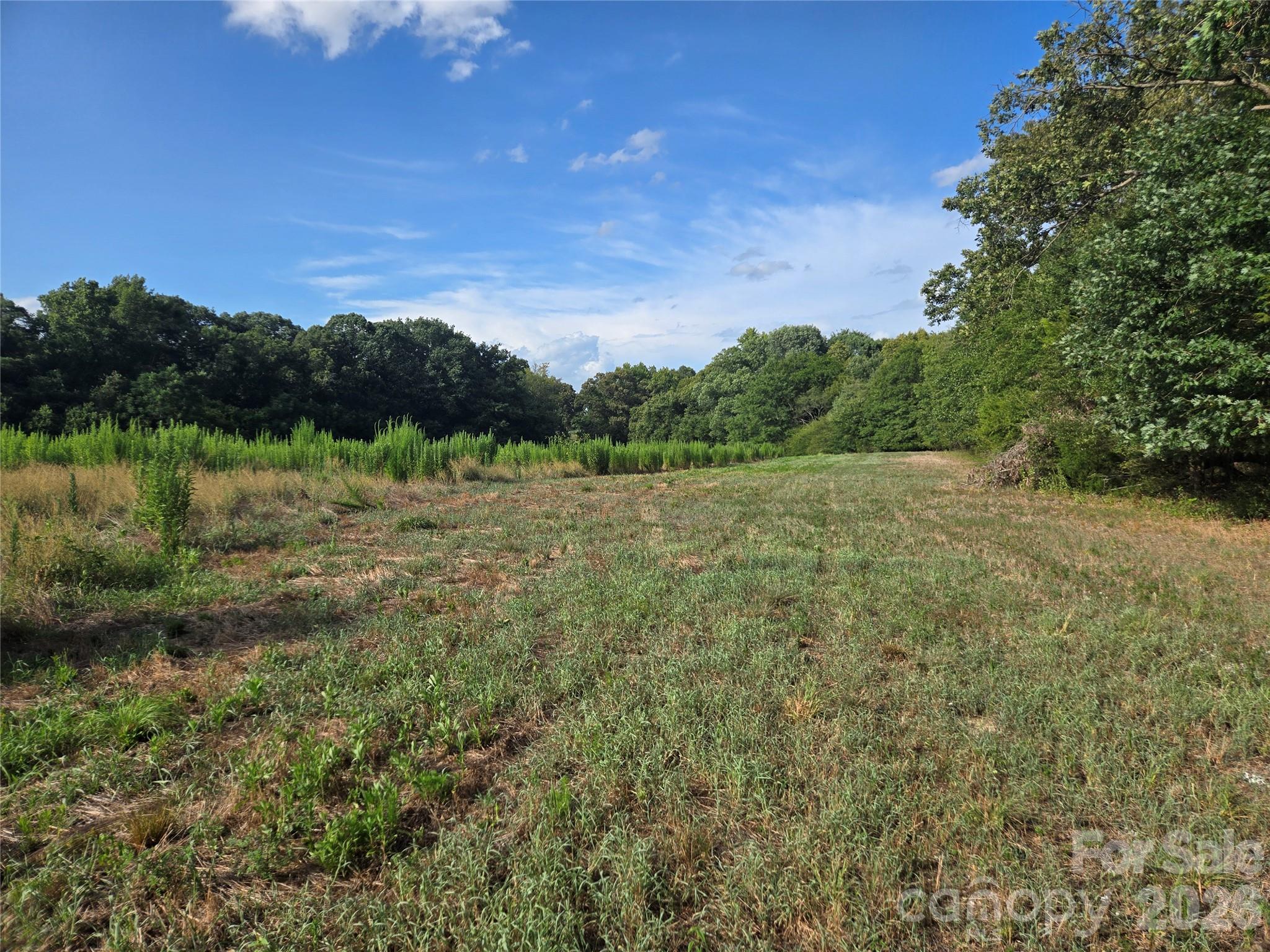 3904 Lucy Shortcut Road Property Photo 38