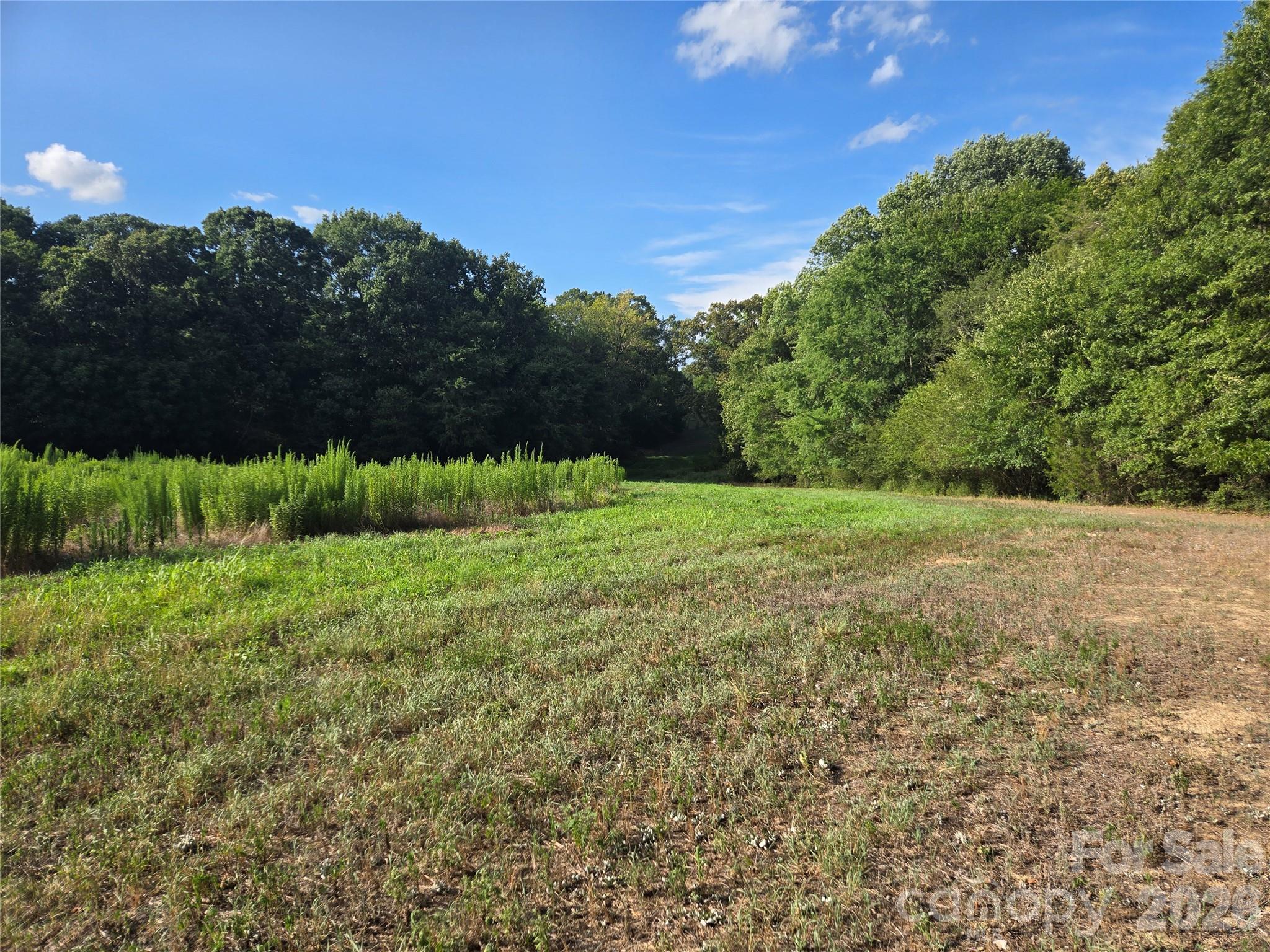 3904 Lucy Shortcut Road Property Photo 39