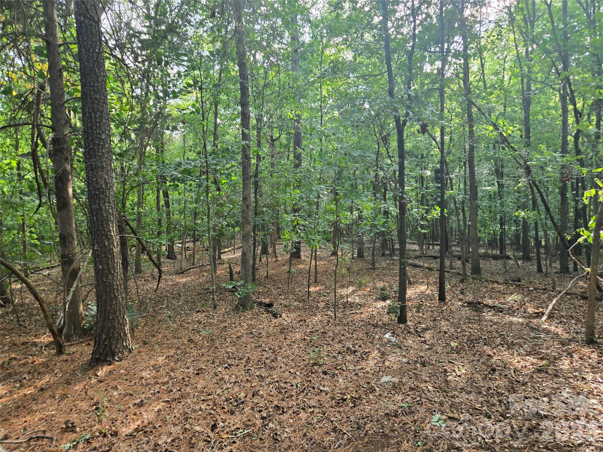 3904 Lucy Shortcut Road Property Photo 42