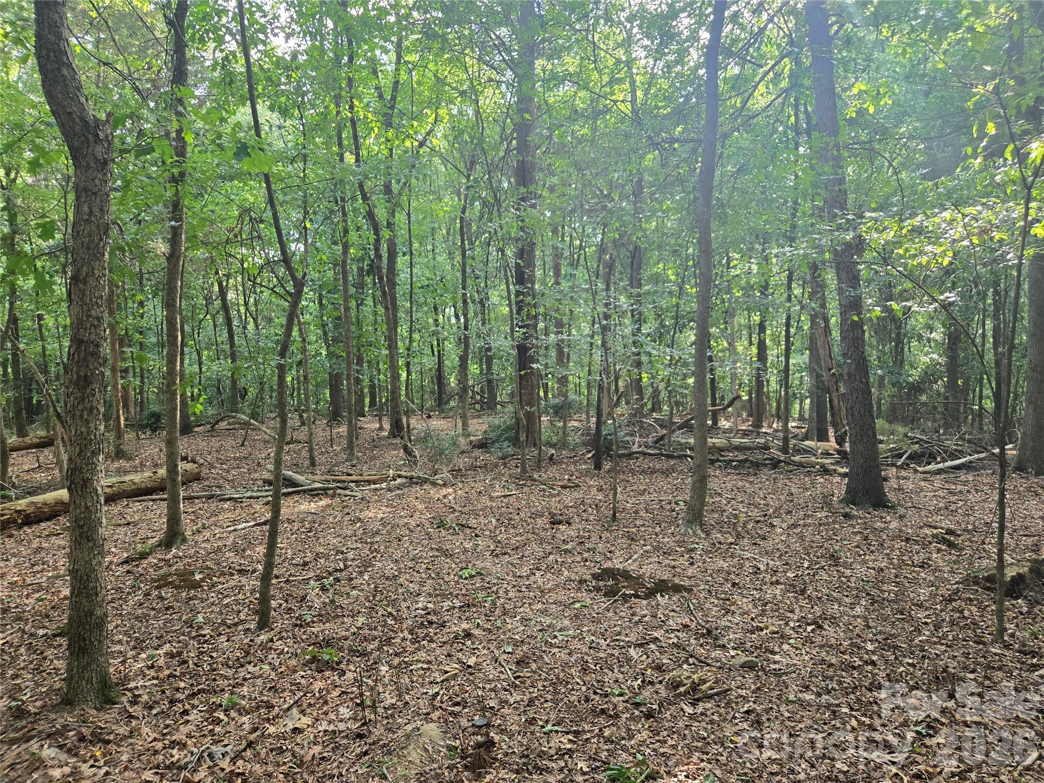 3904 Lucy Shortcut Road Property Photo 43