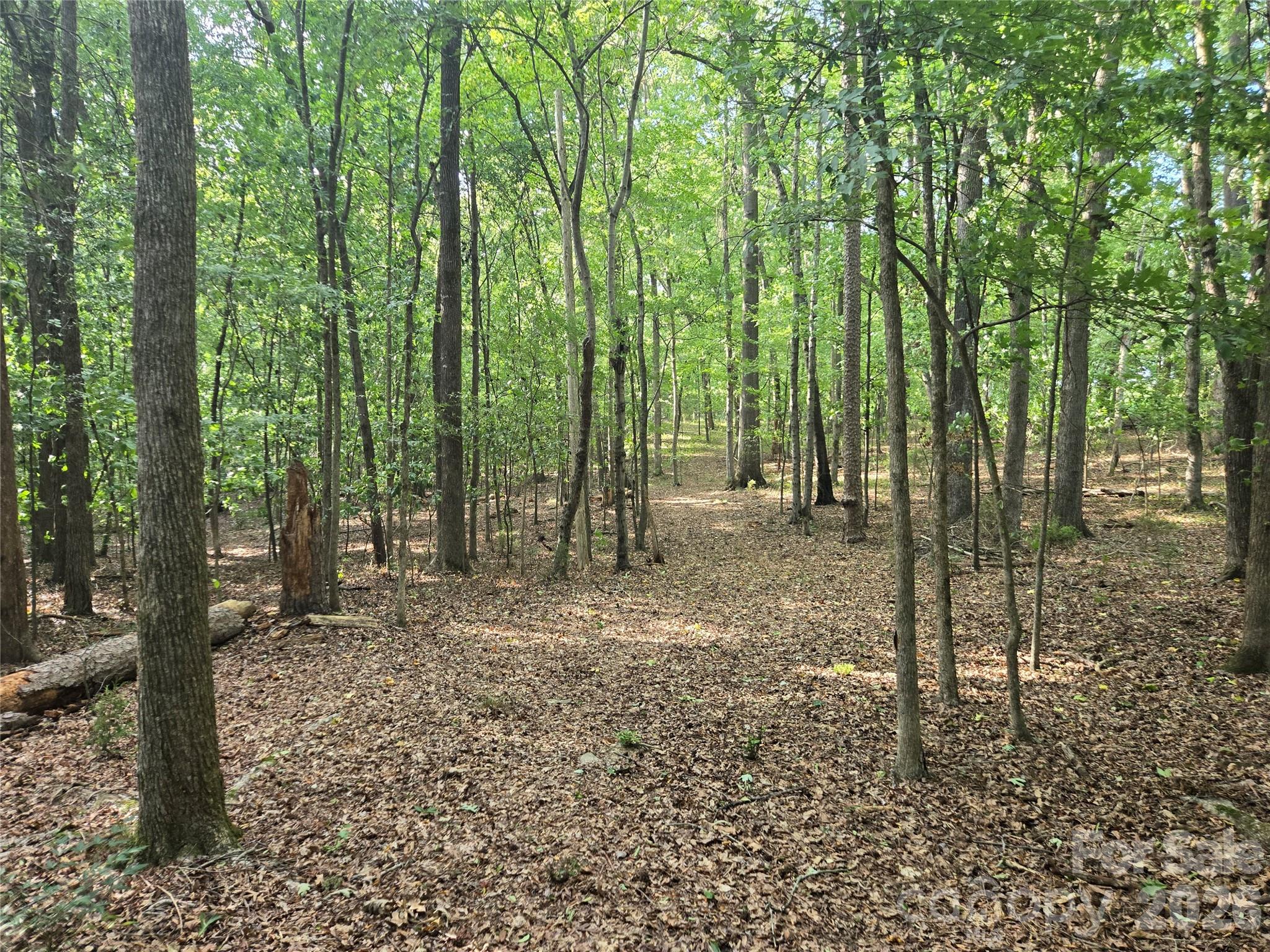 3904 Lucy Shortcut Road Property Photo 45