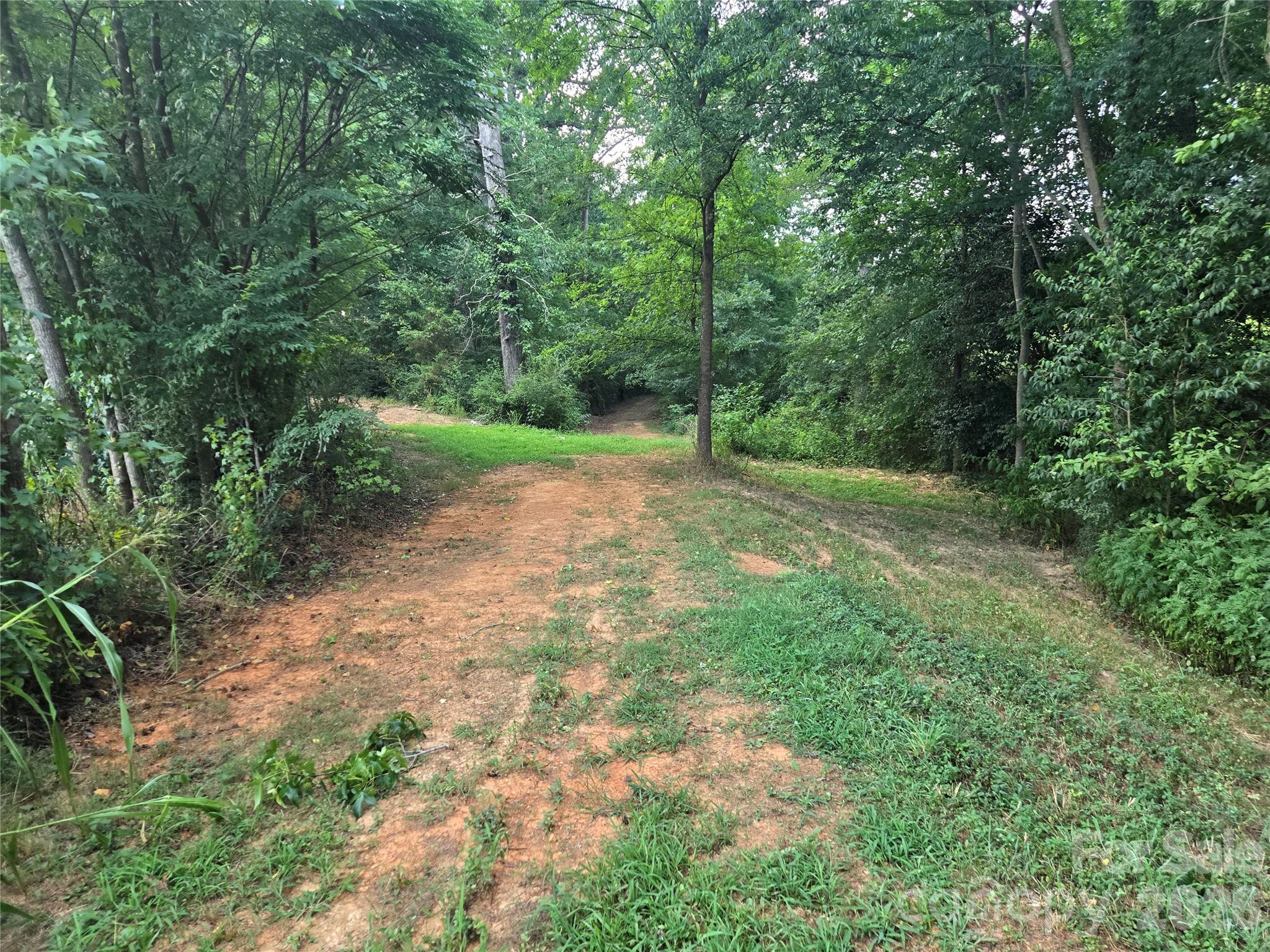 3904 Lucy Shortcut Road Property Photo 46