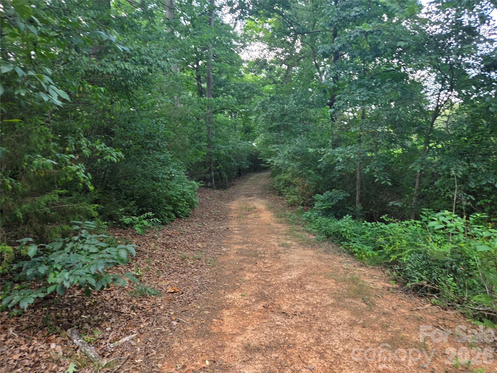 3904 Lucy Shortcut Road Property Photo 47