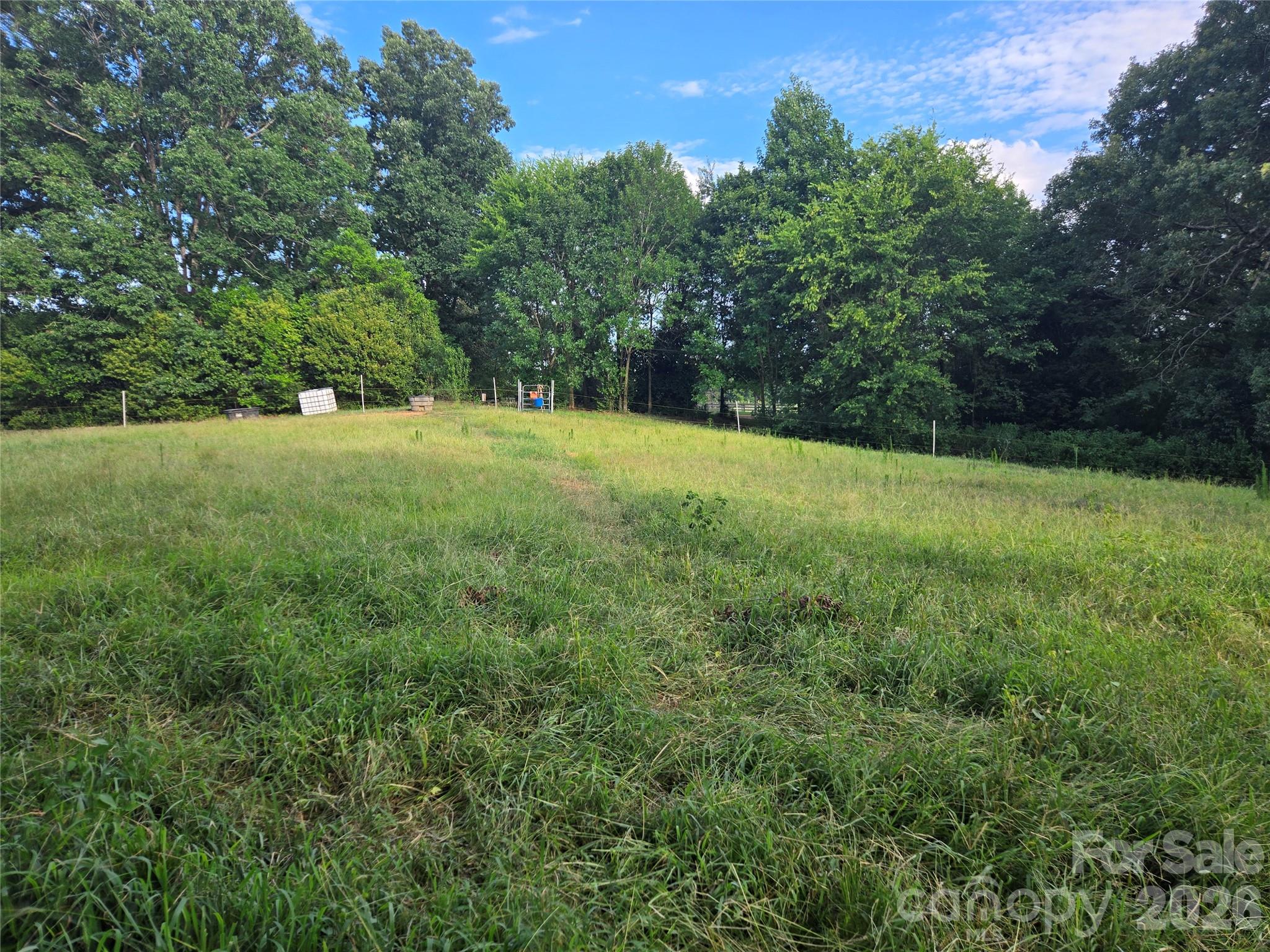 3904 Lucy Shortcut Road Property Photo 48