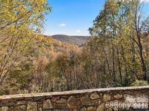 967 Spruce Flats Road Property Photo 3