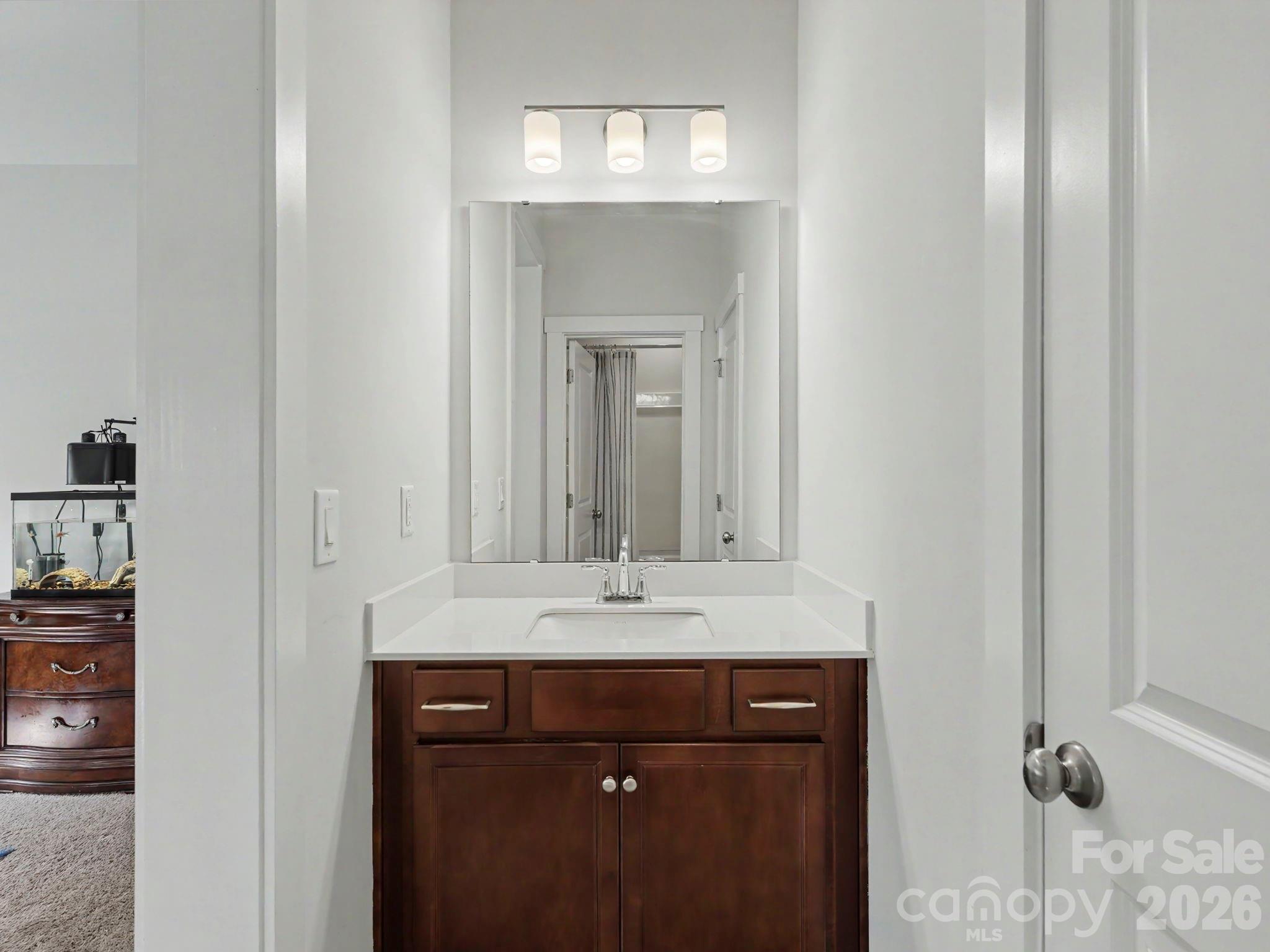 13020 Brooklyn Skylar Way Property Photo 33