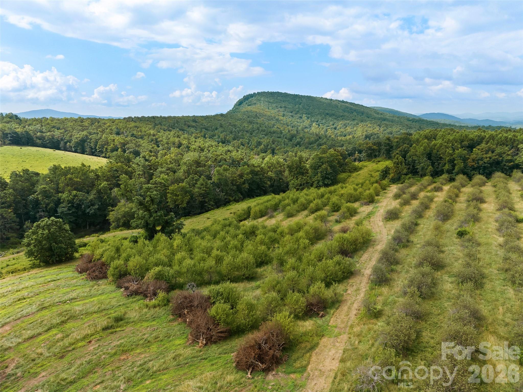 0 Summer Road 5 Property Photo 3