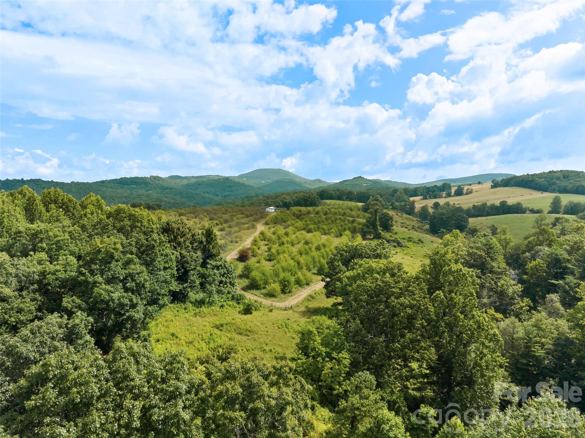 0 Summer Road 5 Property Photo 6