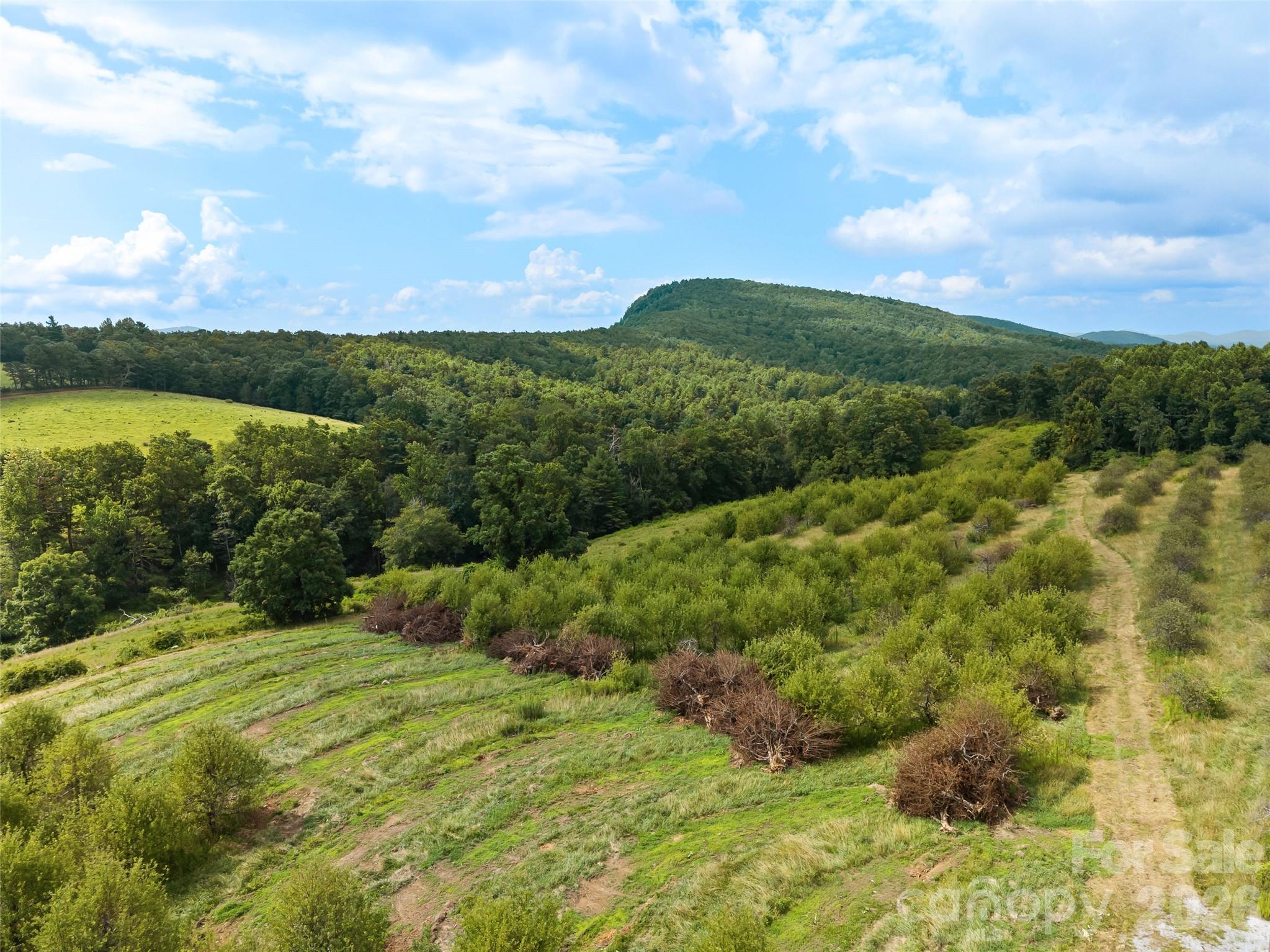 0 Summer Road 5 Property Photo 7