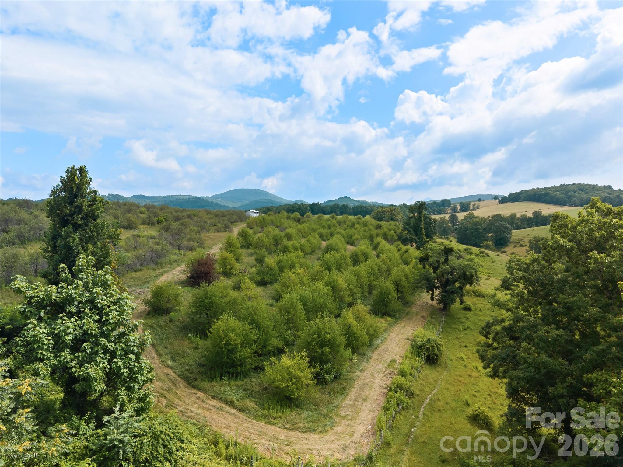 0 Summer Road 5 Property Photo 13