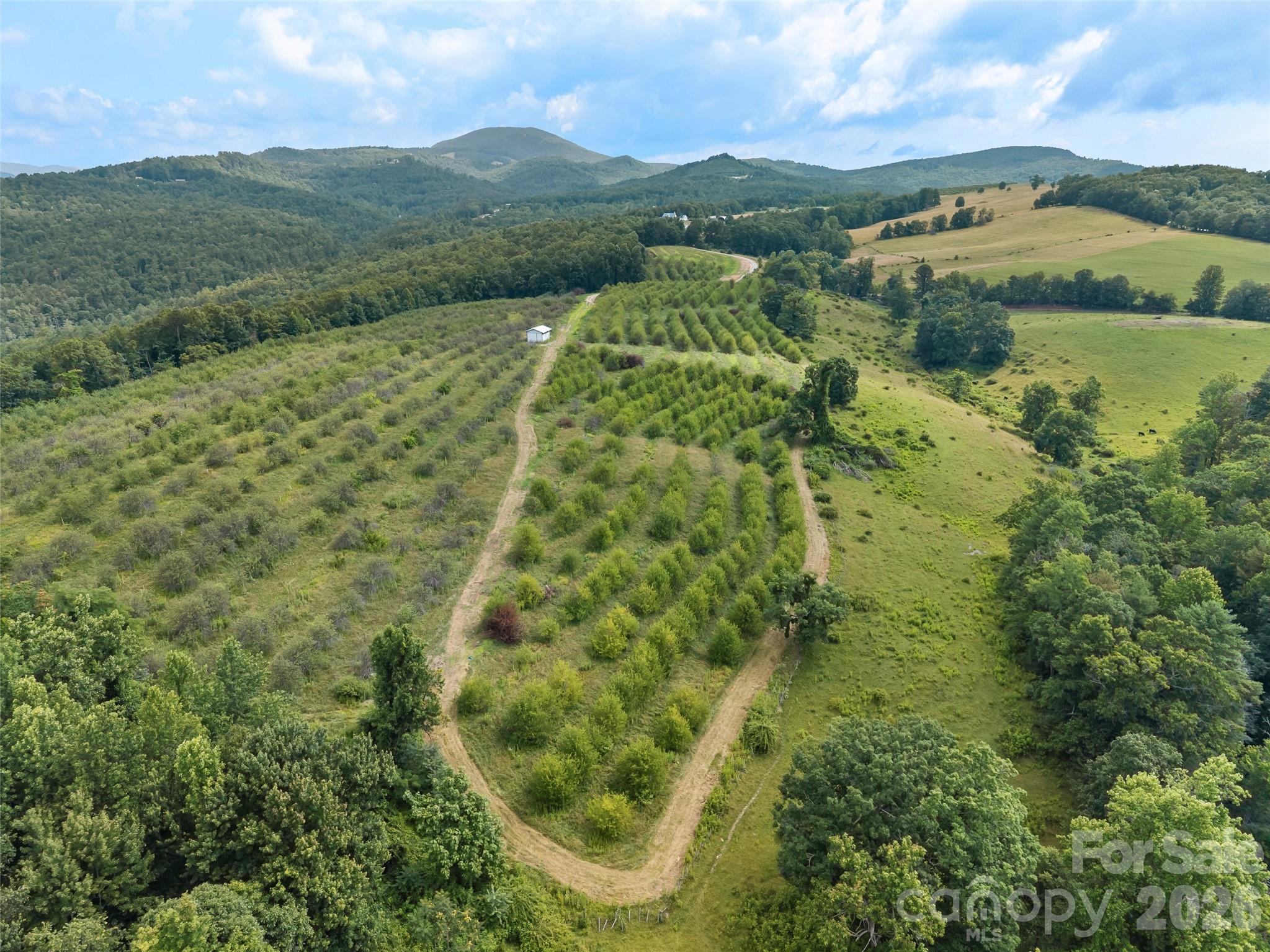 0 Summer Road 5 Property Photo 14