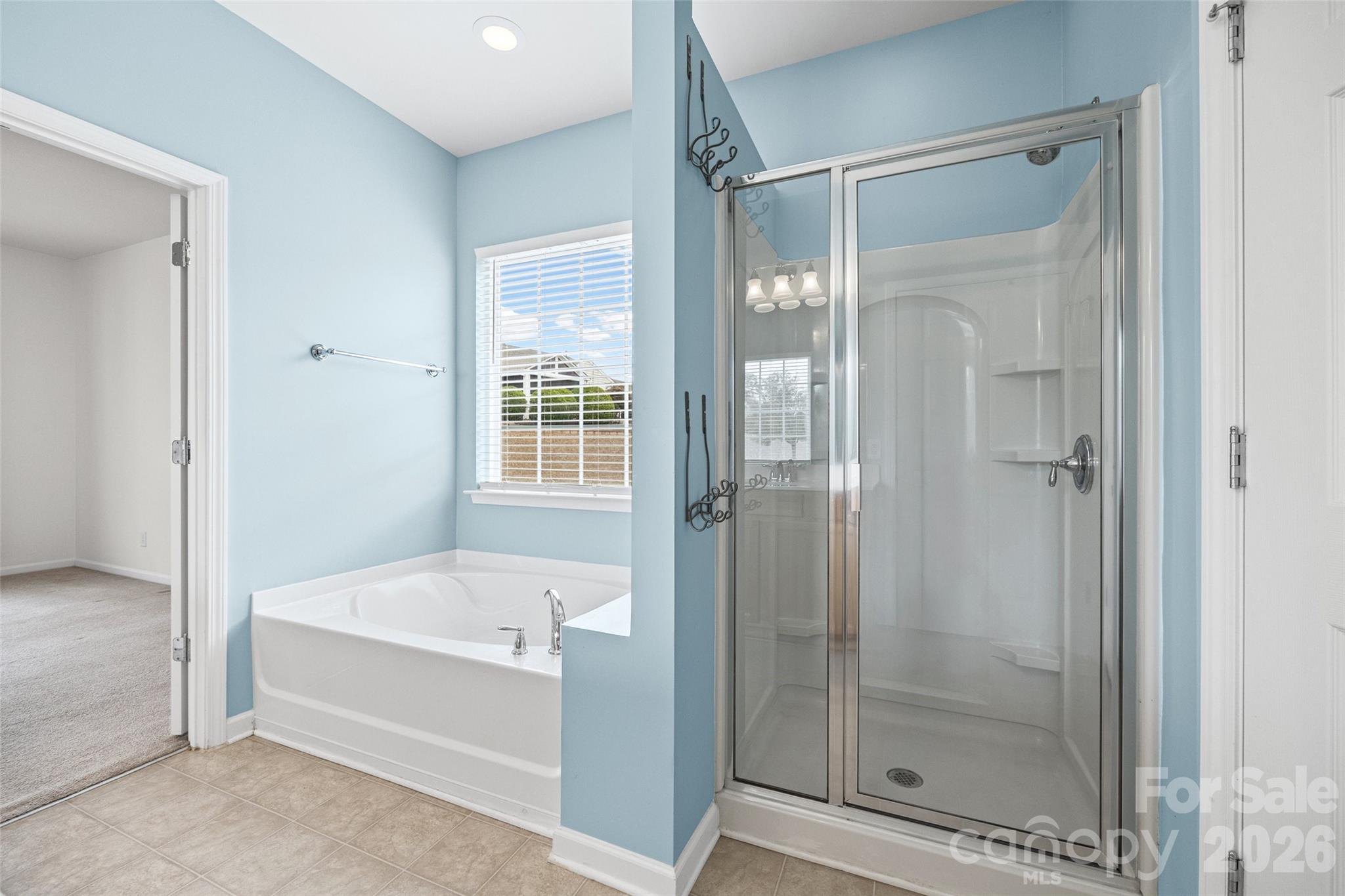 2027 Maned Goose Court Property Photo 19
