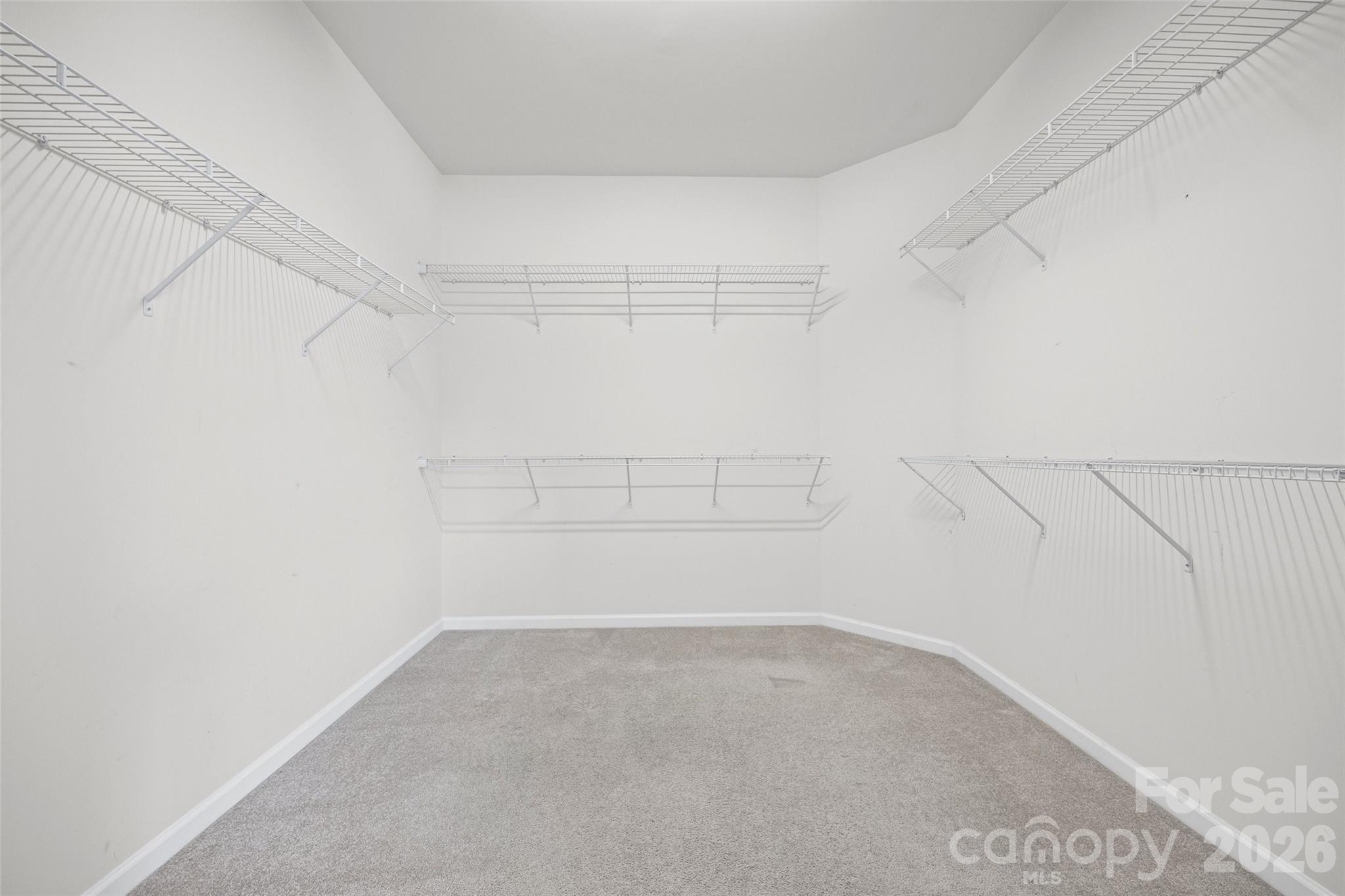2027 Maned Goose Court Property Photo 20