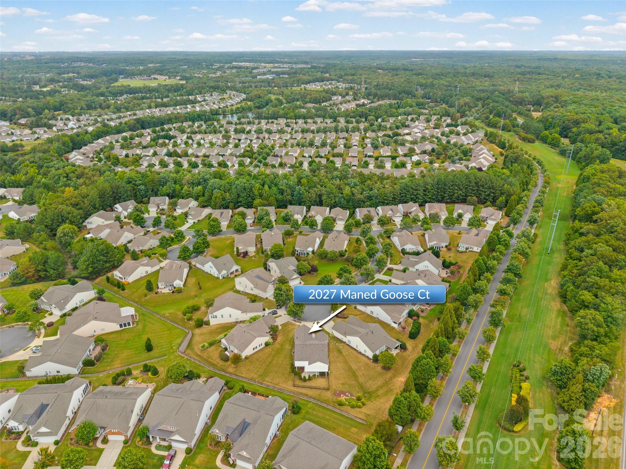 2027 Maned Goose Court Property Photo 29