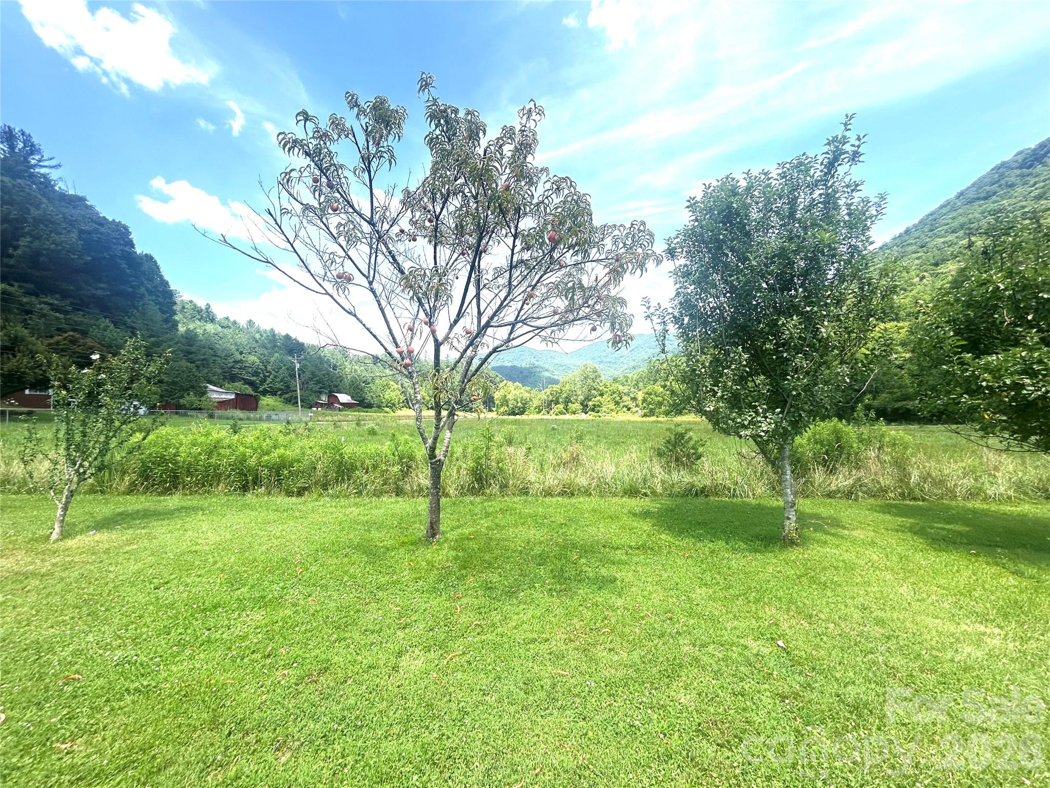 10755 Nc 209 Highway Property Photo 13