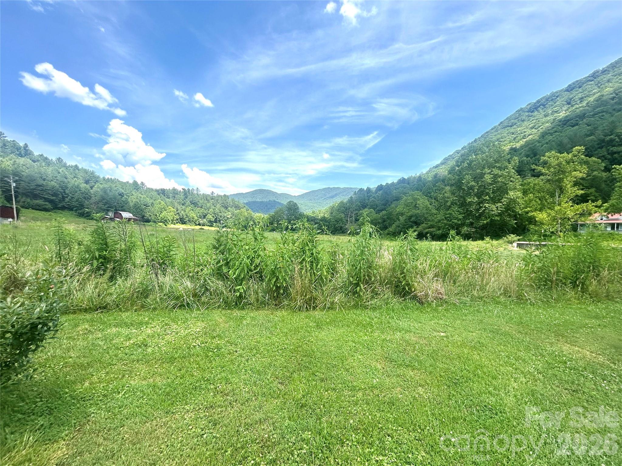 10755 Nc 209 Highway Property Photo 14