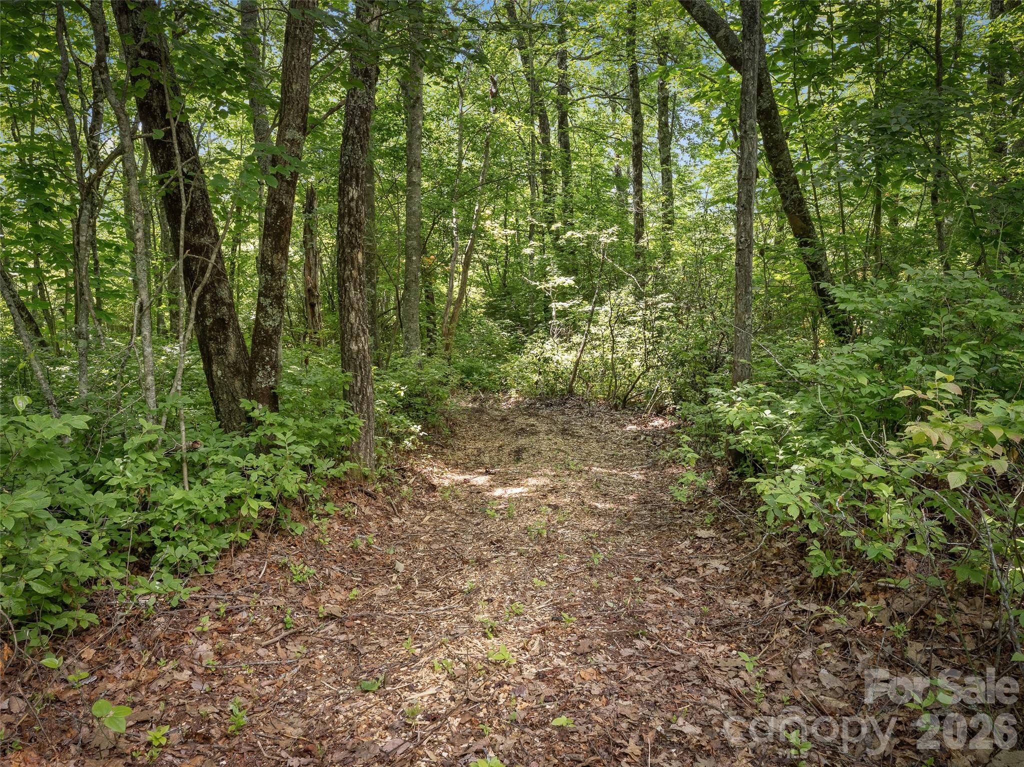 Lot 42 Spencer Lane Mr42 Property Photo 5