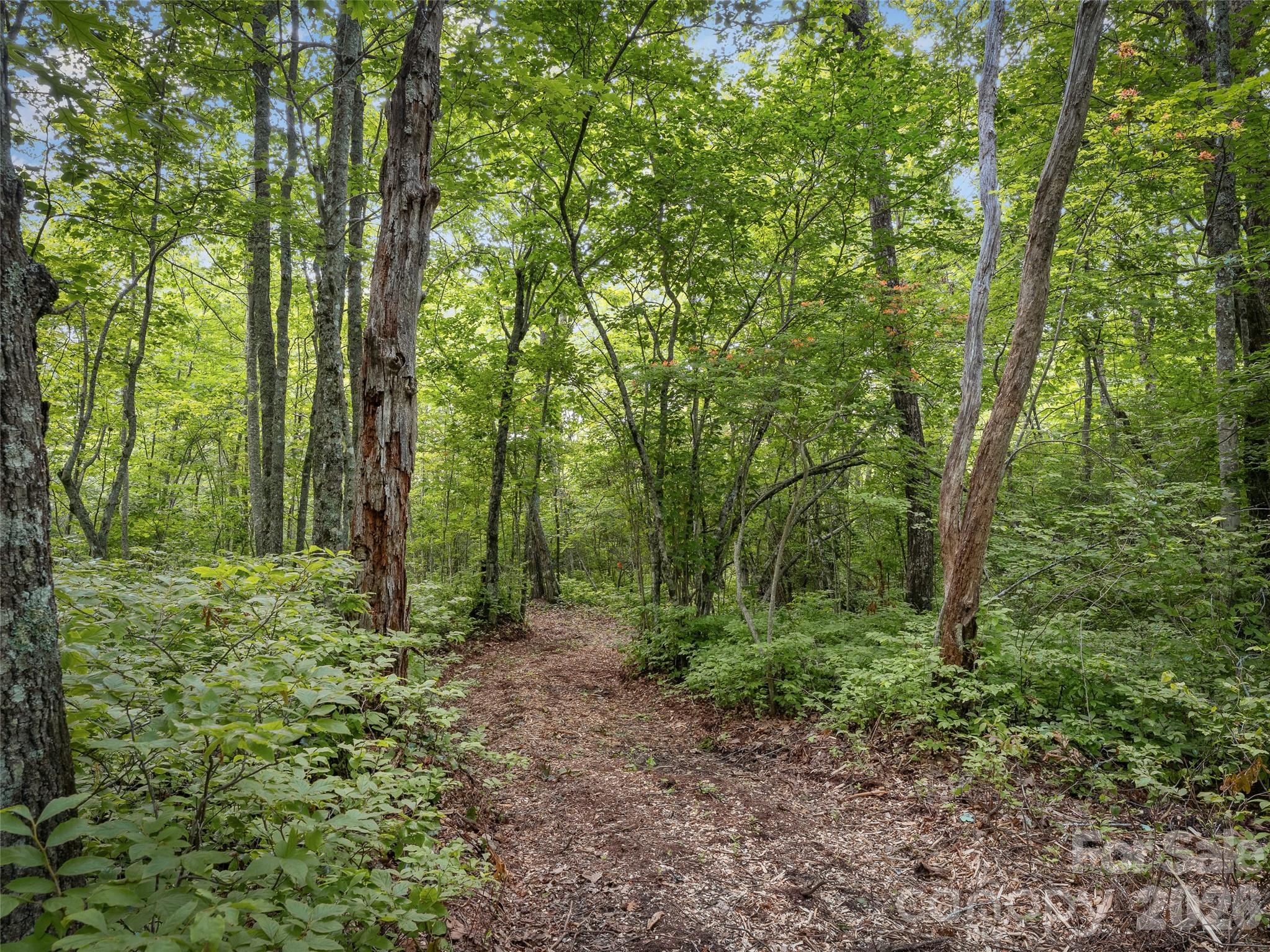 Lot 42 Spencer Lane Mr42 Property Photo 6