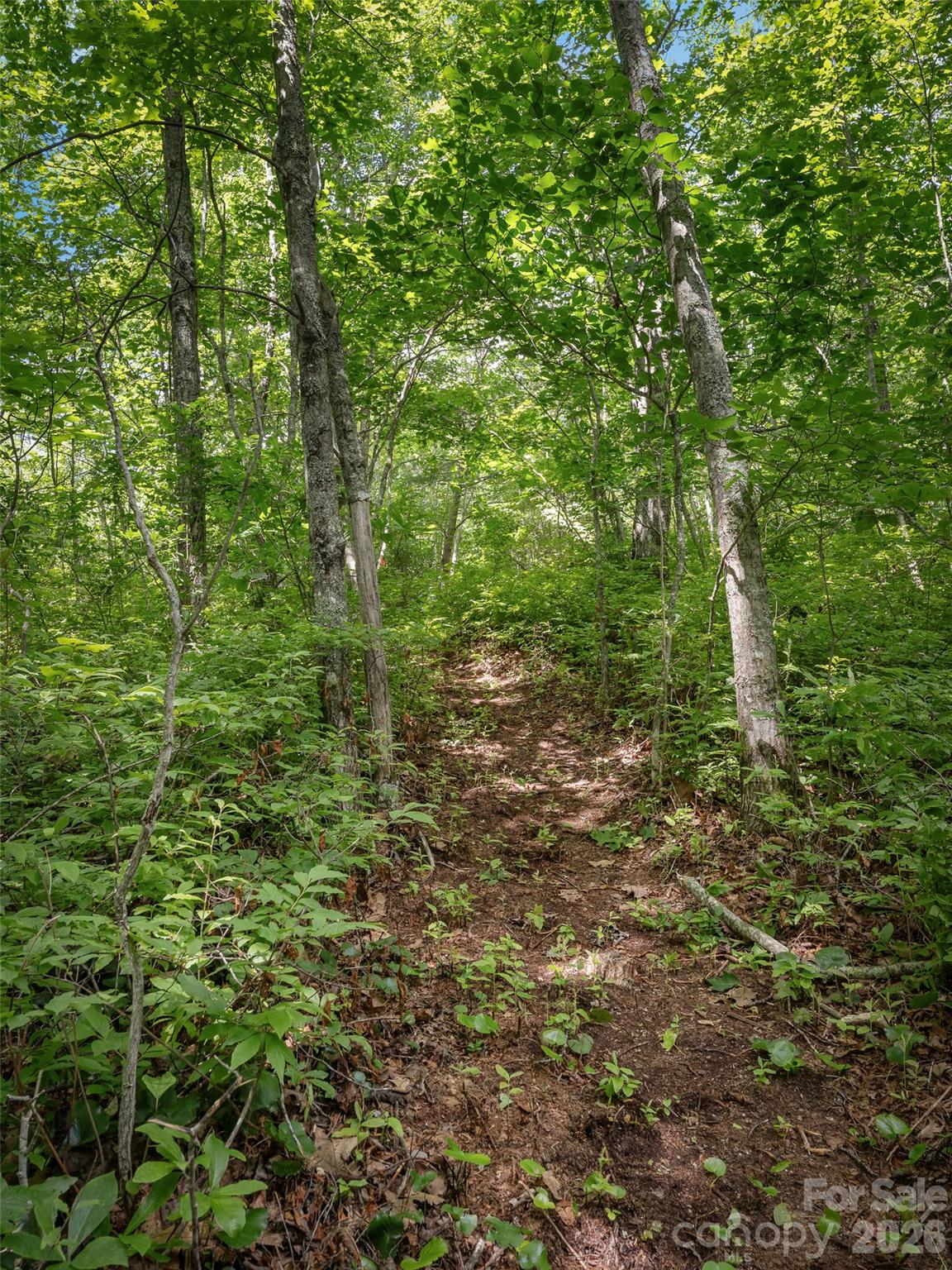 Lot 42 Spencer Lane Mr42 Property Photo 7