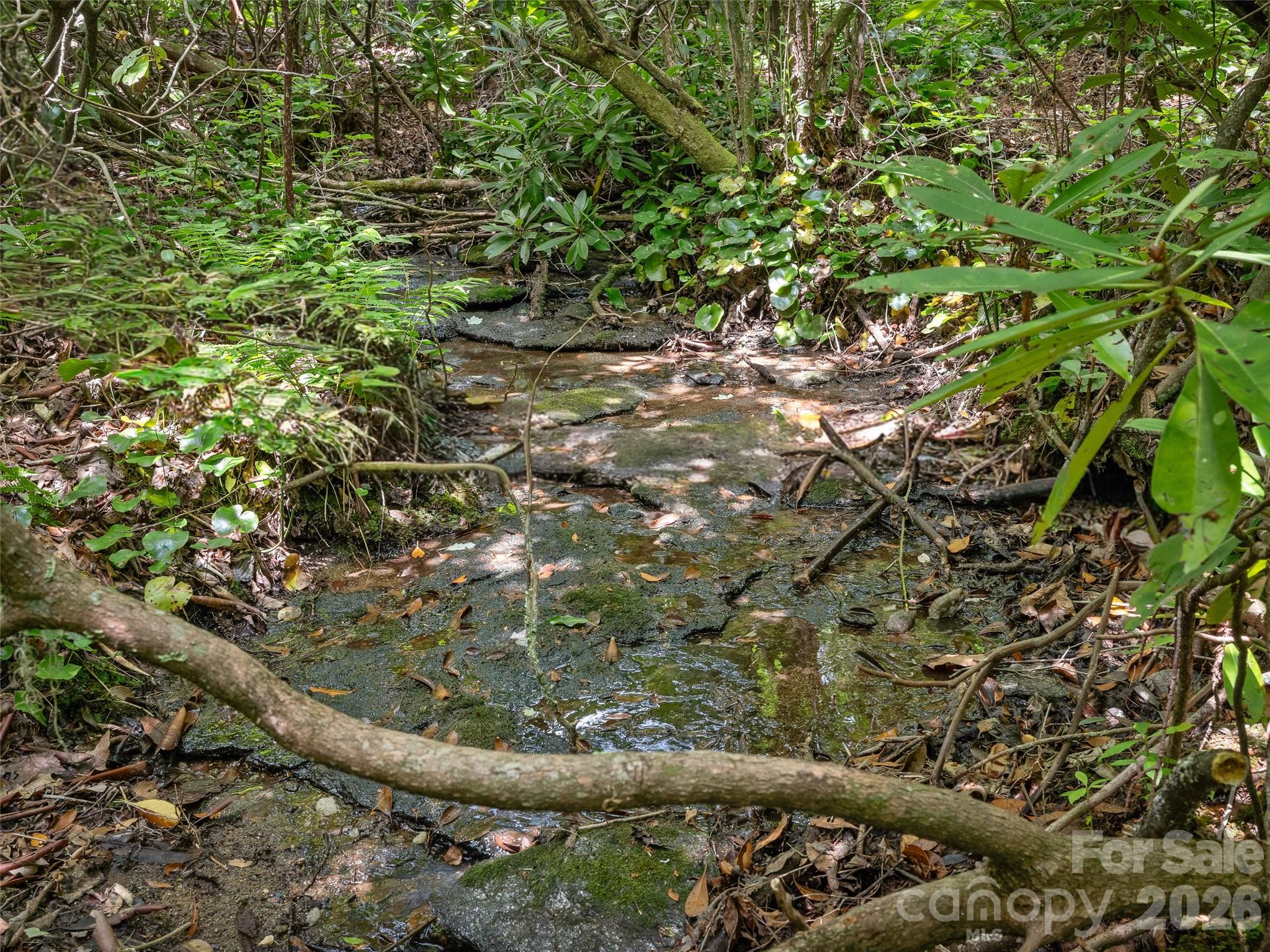 Lot 42 Spencer Lane Mr42 Property Photo 15