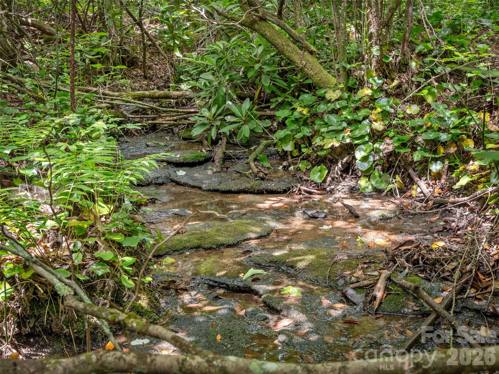 Lot 42 Spencer Lane Mr42 Property Photo 16