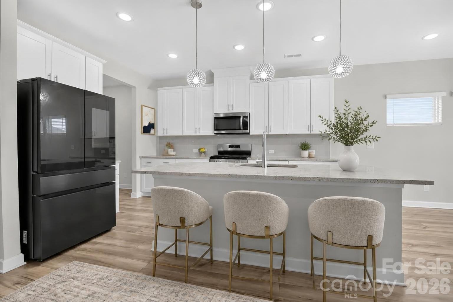 1041 Red Apple Street Property Photo 3