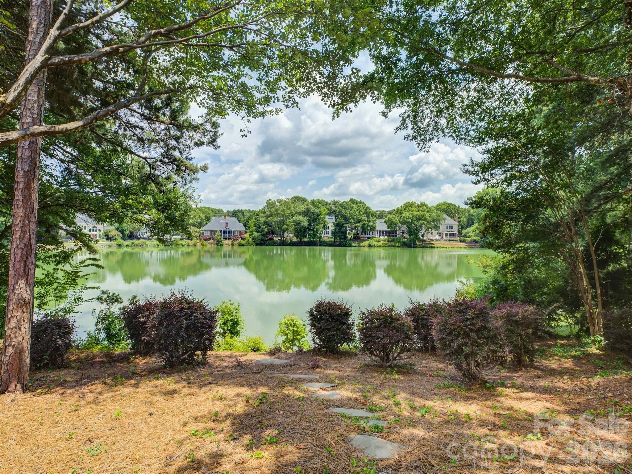 10119 Victoria Mill Court Property Photo 3