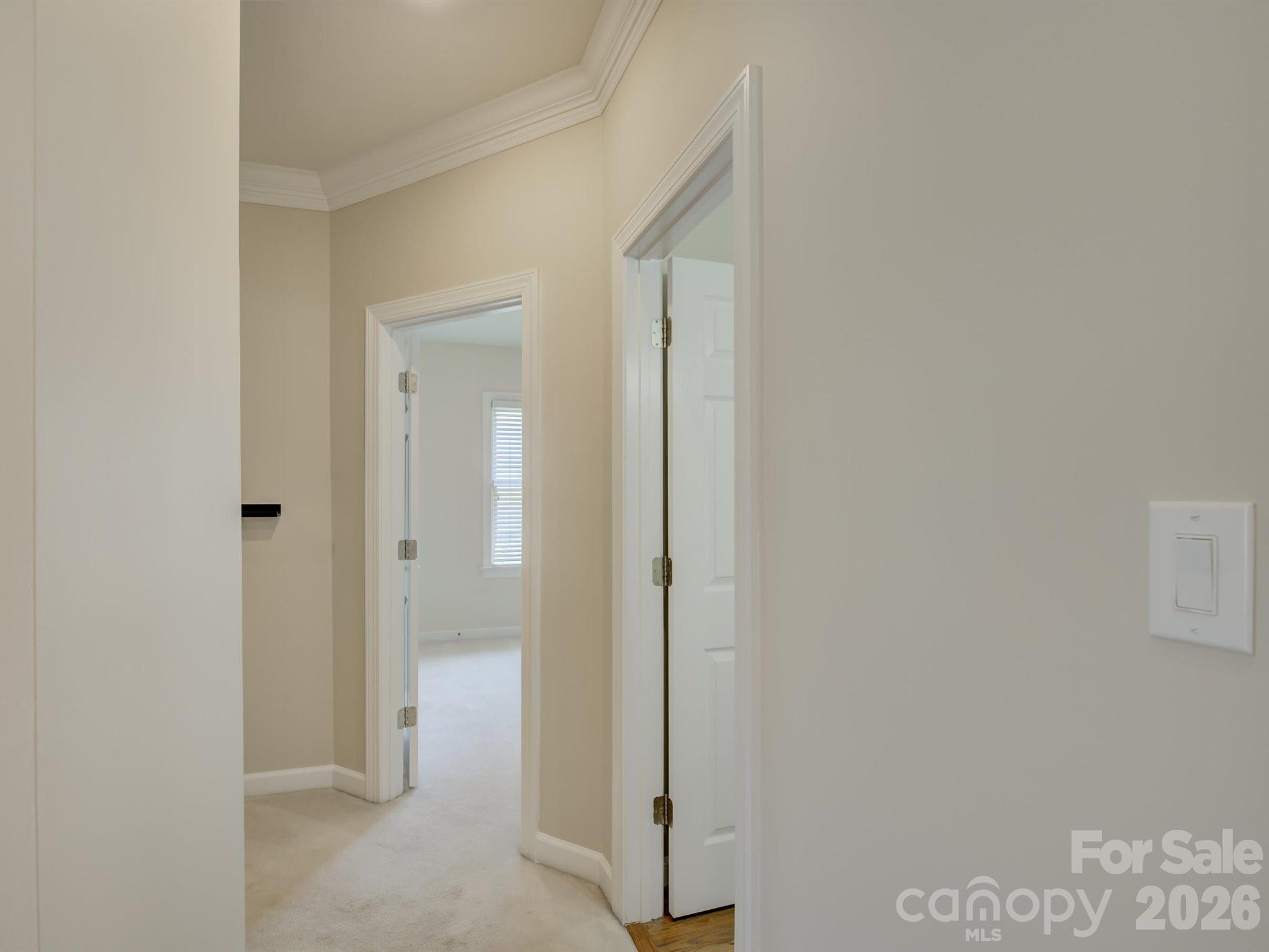 10119 Victoria Mill Court Property Photo 29