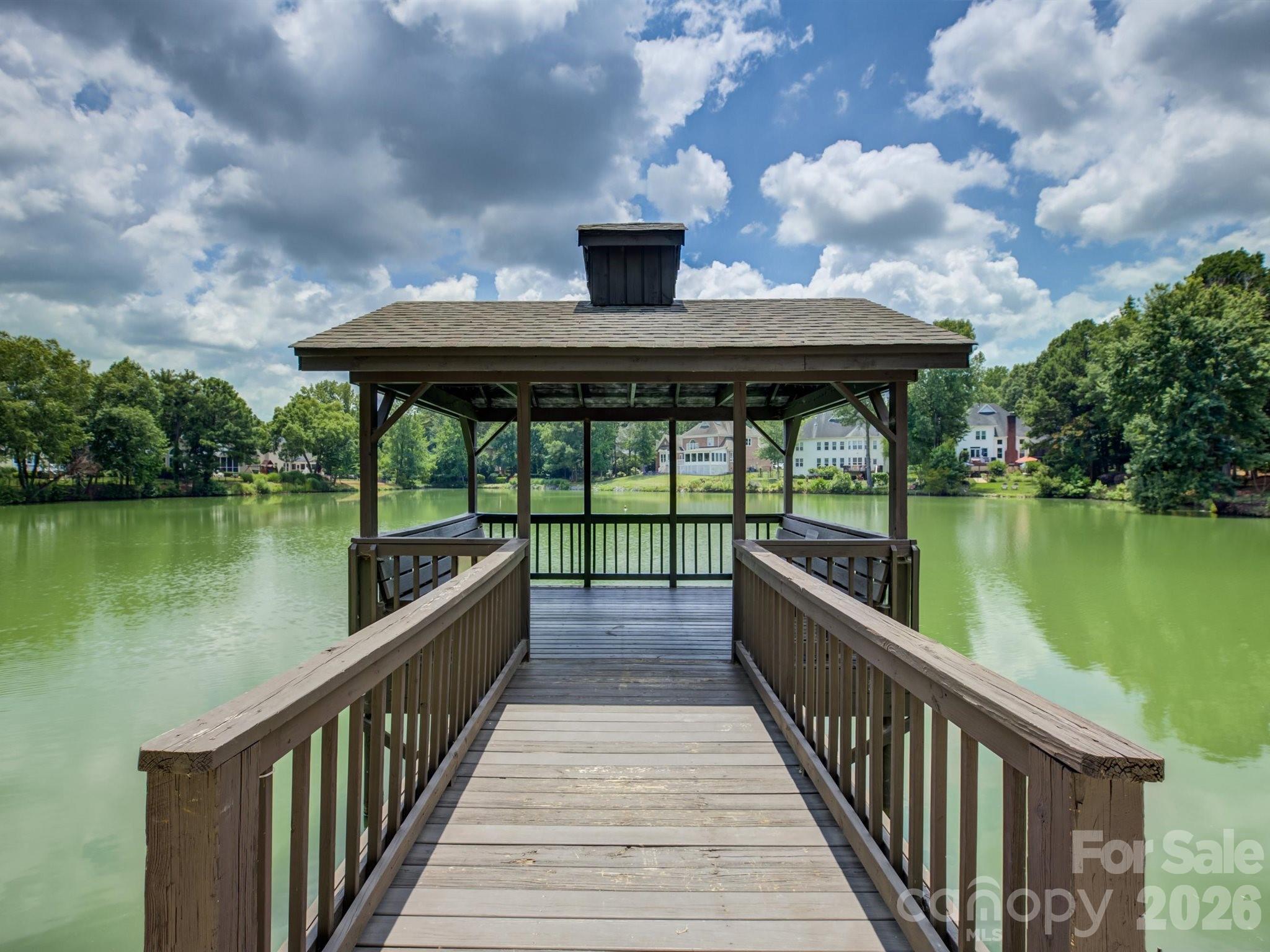 10119 Victoria Mill Court Property Photo 41