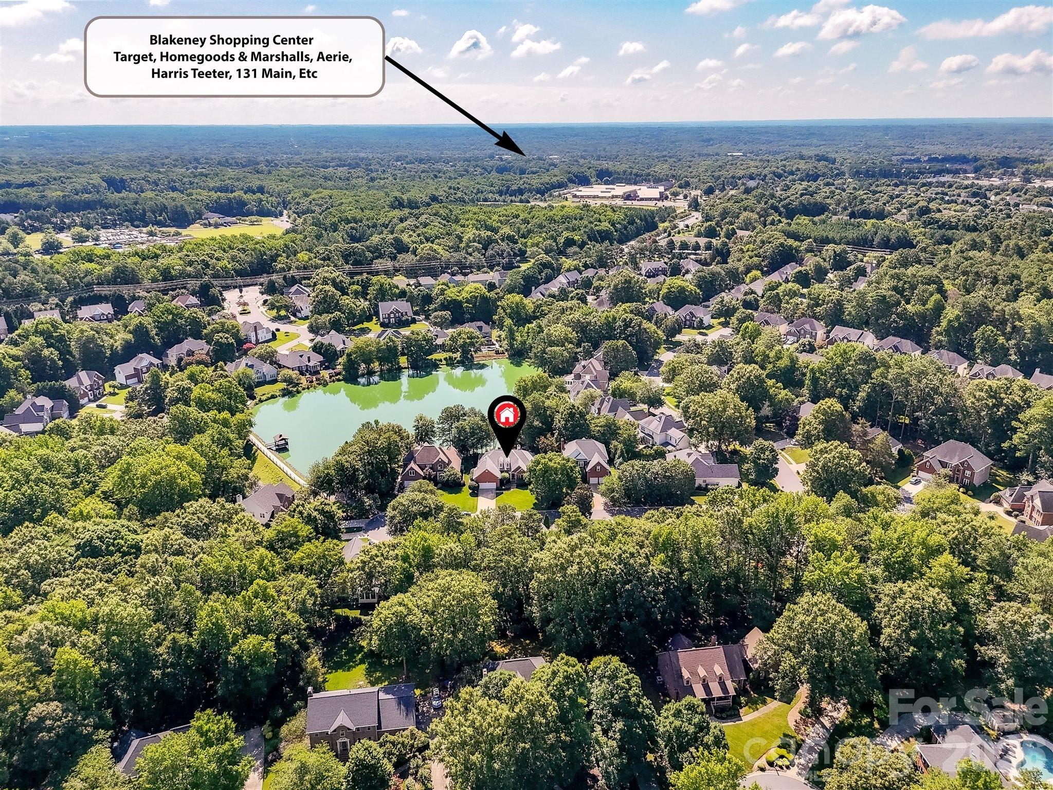 10119 Victoria Mill Court Property Photo 44