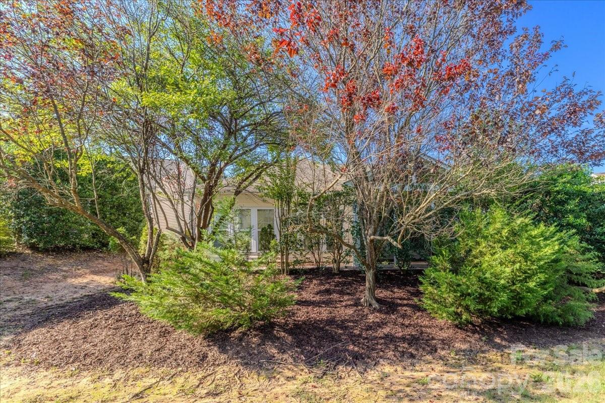 36145 Watsonia Street Property Photo 35