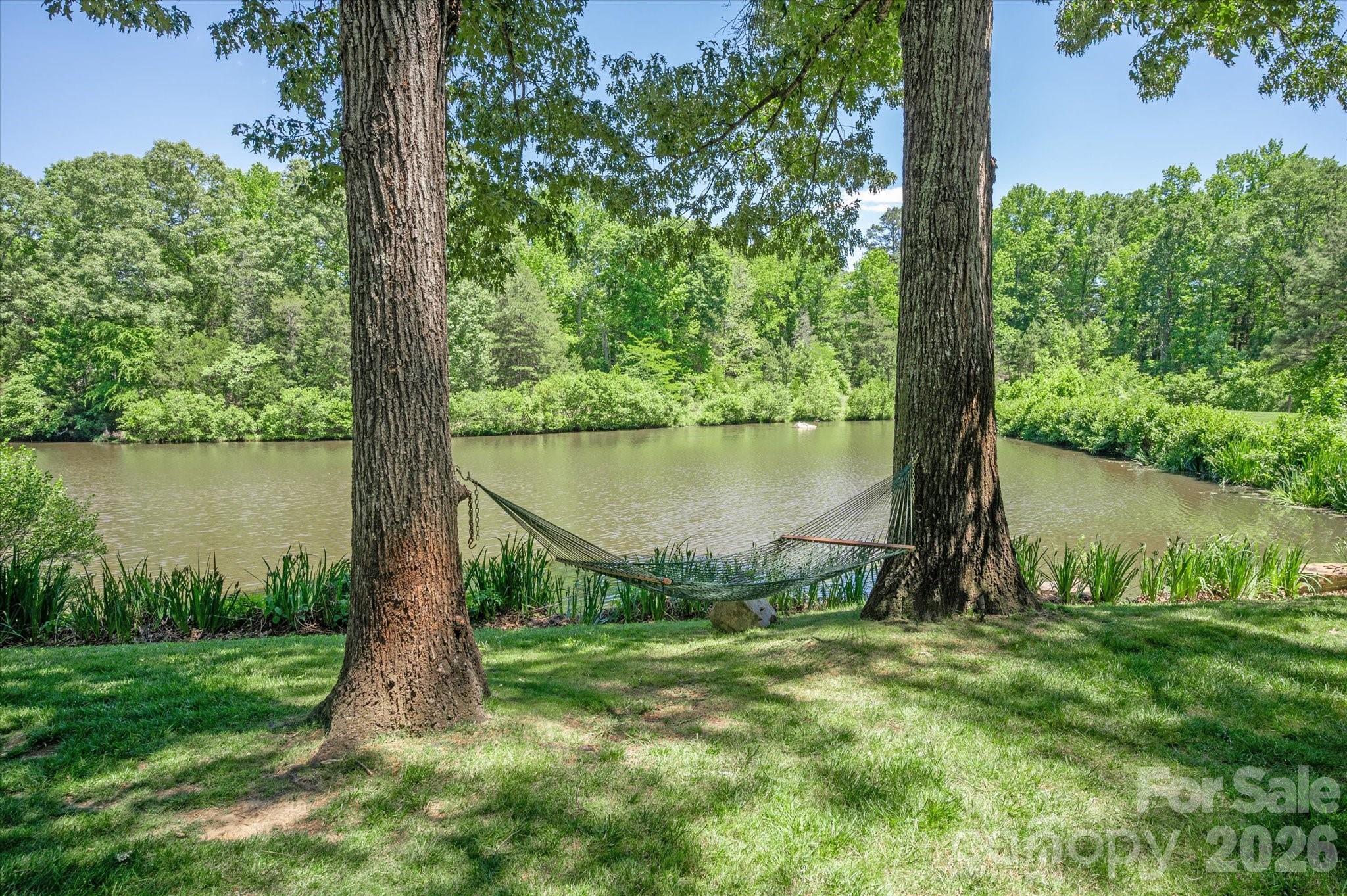 9117 Yellow Pine Court Property Photo 4