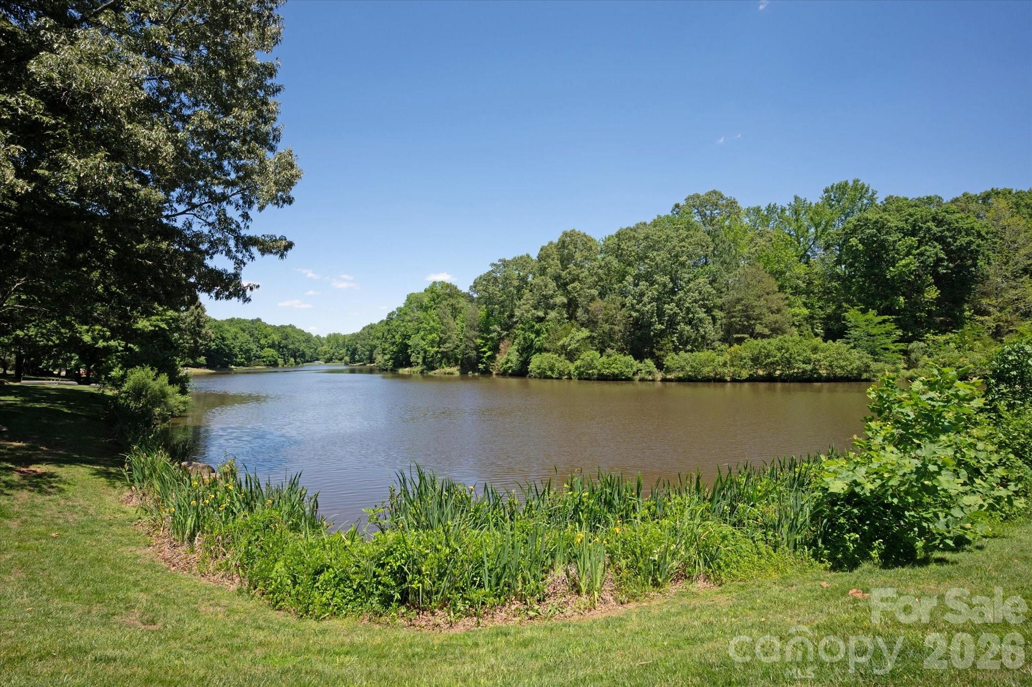 9117 Yellow Pine Court Property Photo 6